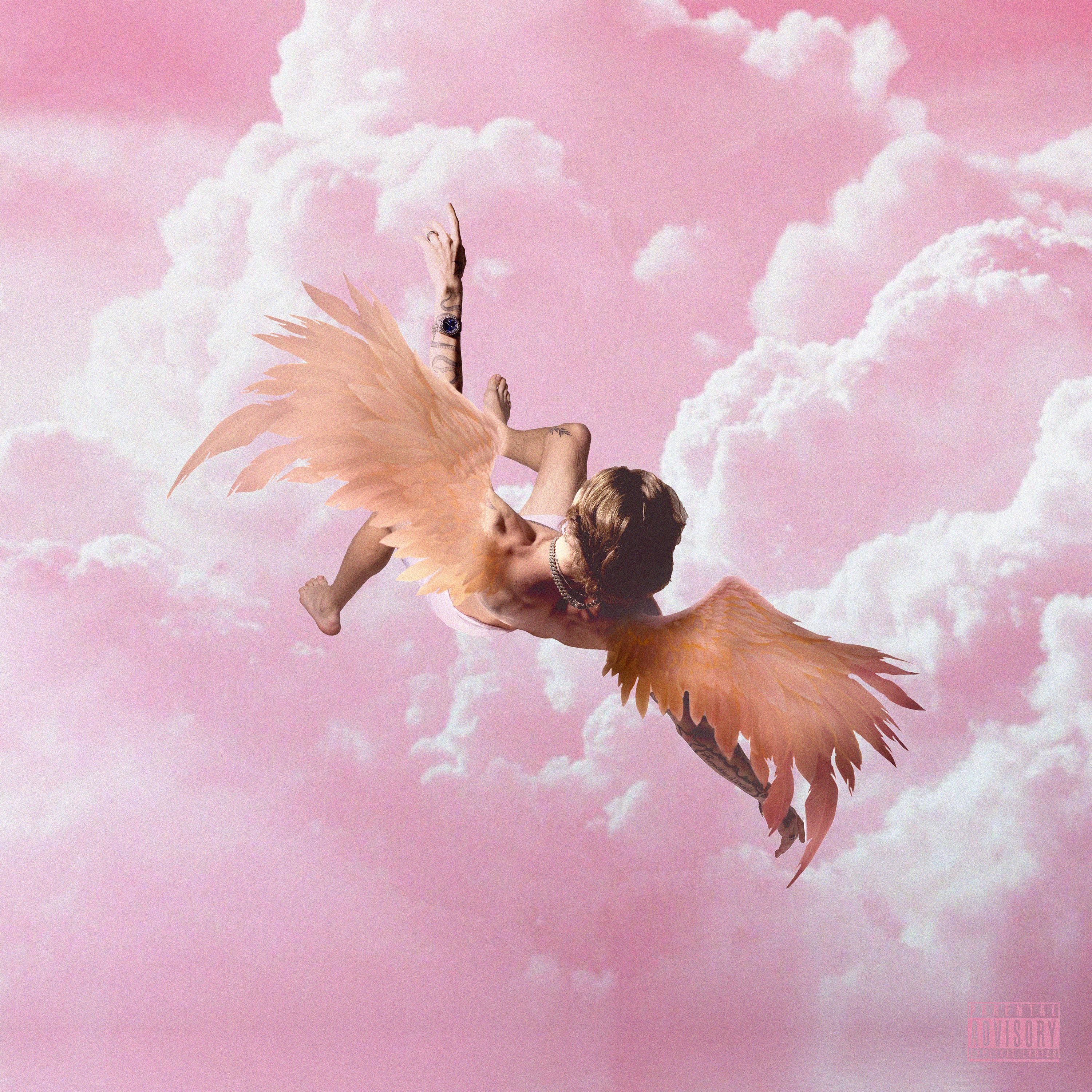 Постер альбома Pink Clouds