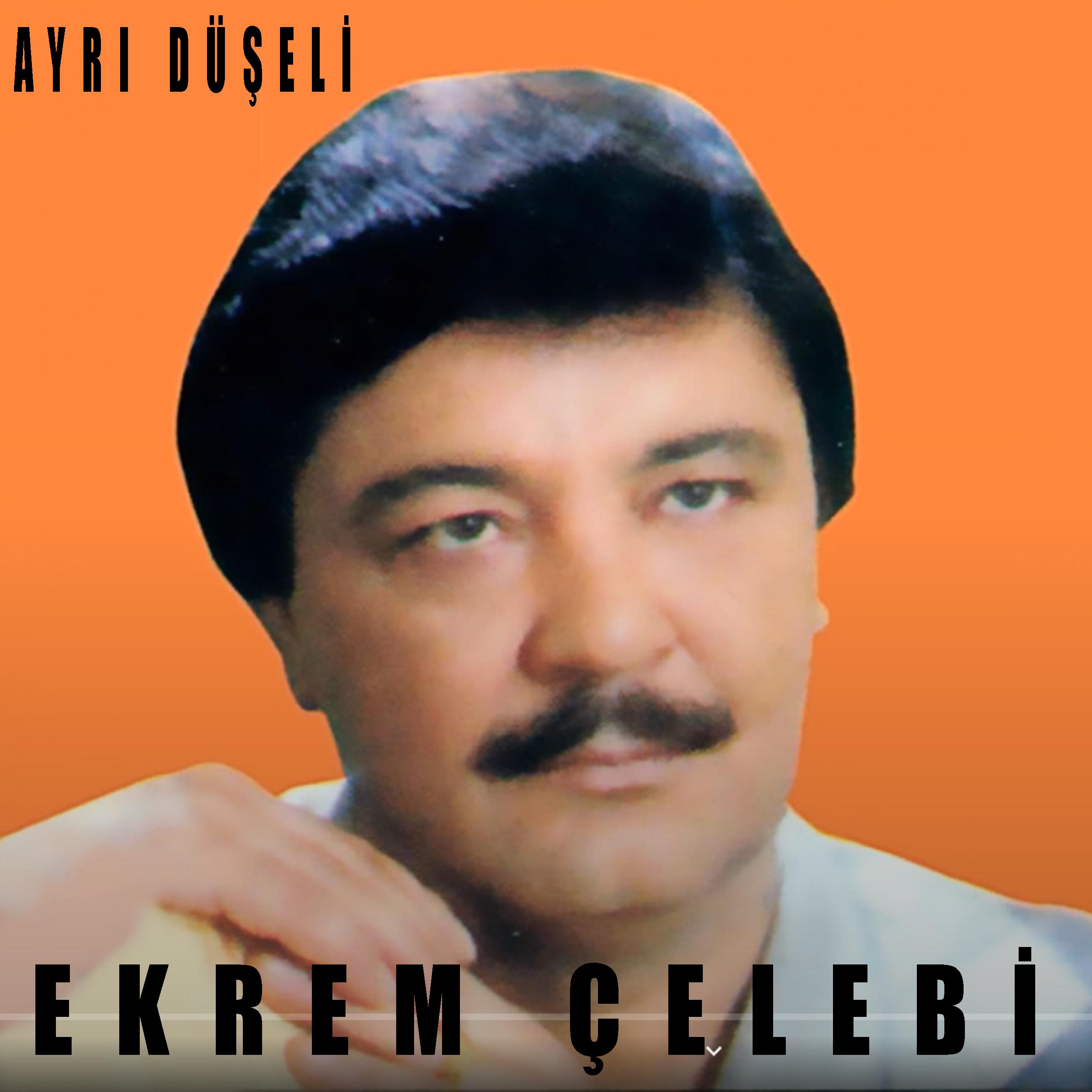 Постер альбома Ayrı Düşeli