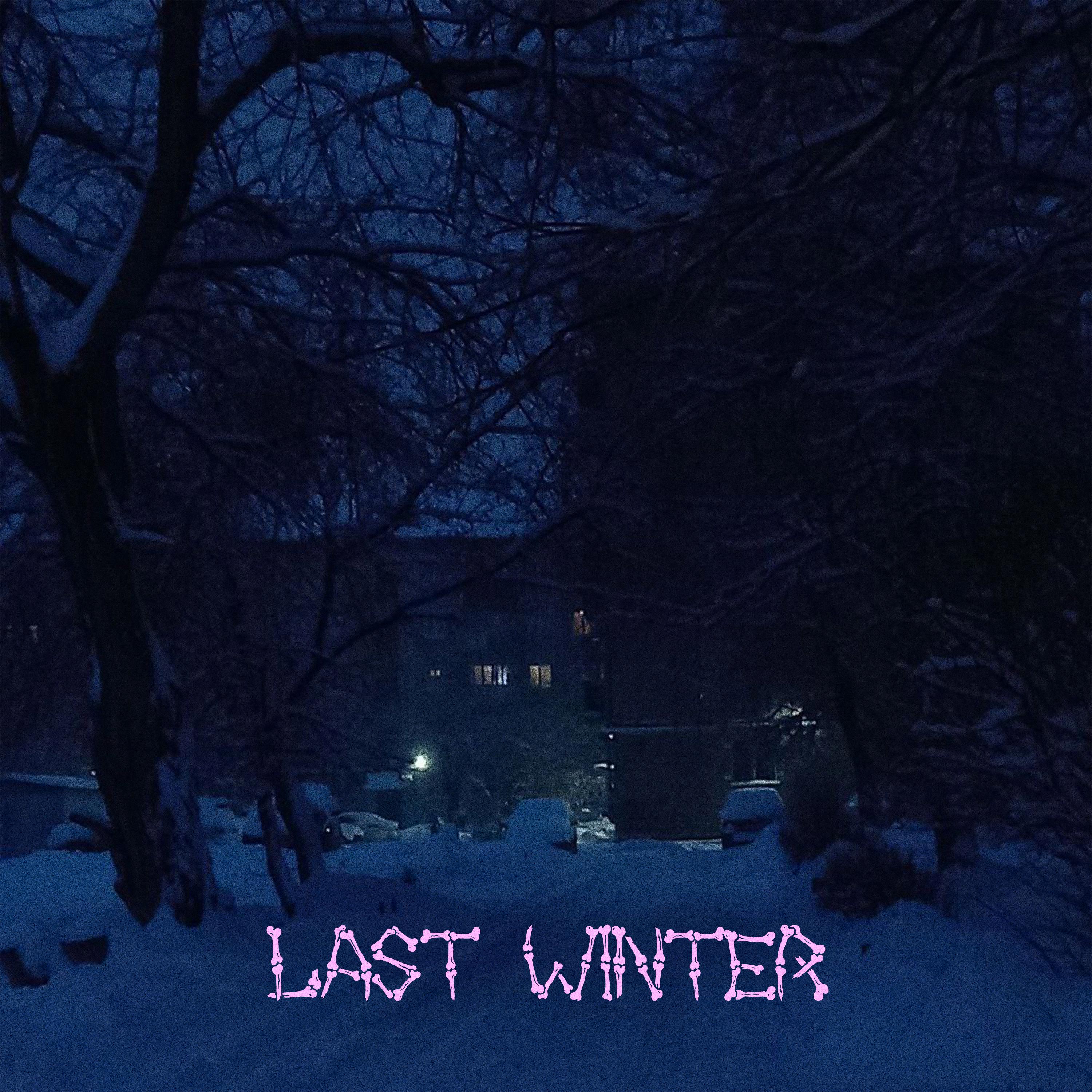 Постер альбома Last Winter