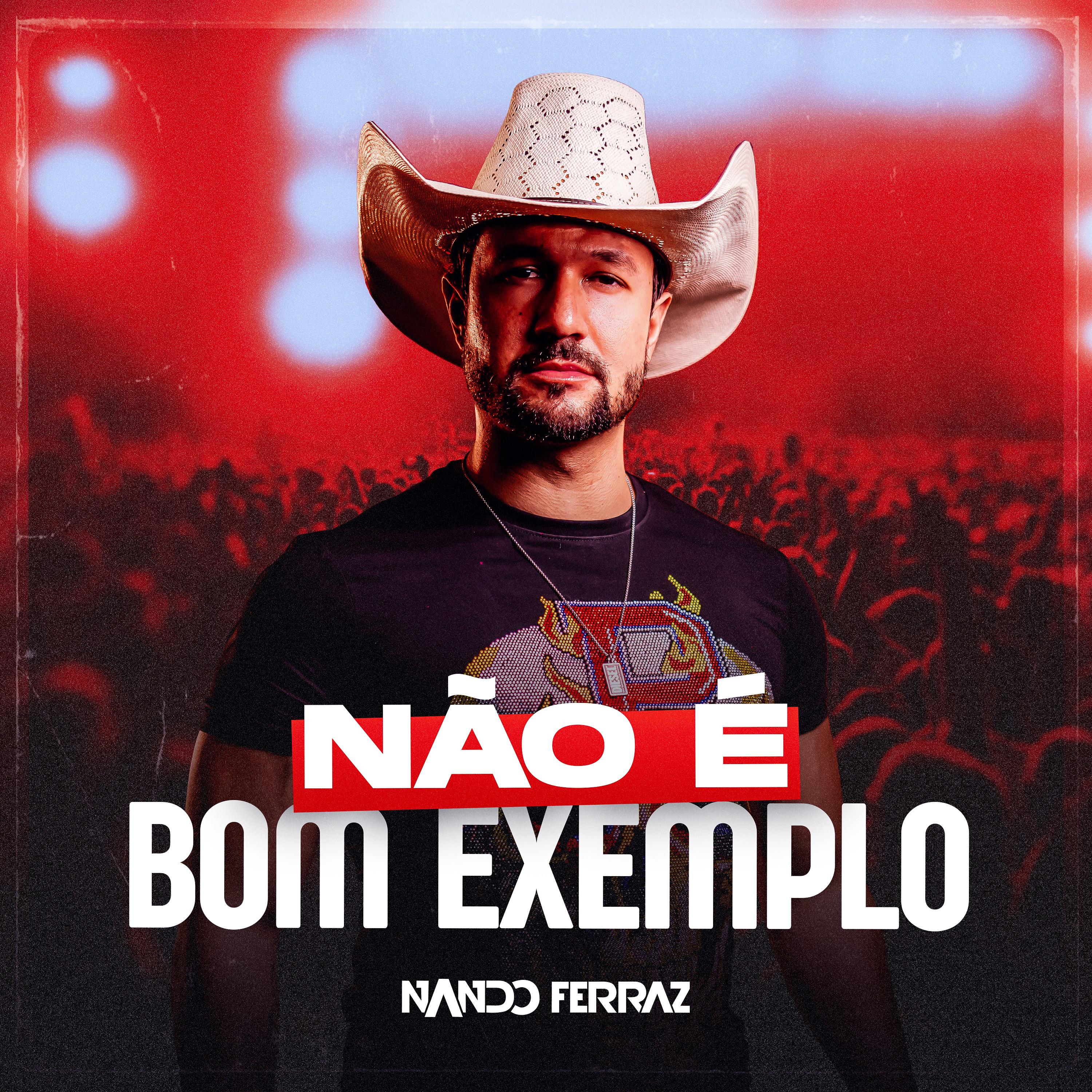 Постер альбома Não é Bom Exemplo
