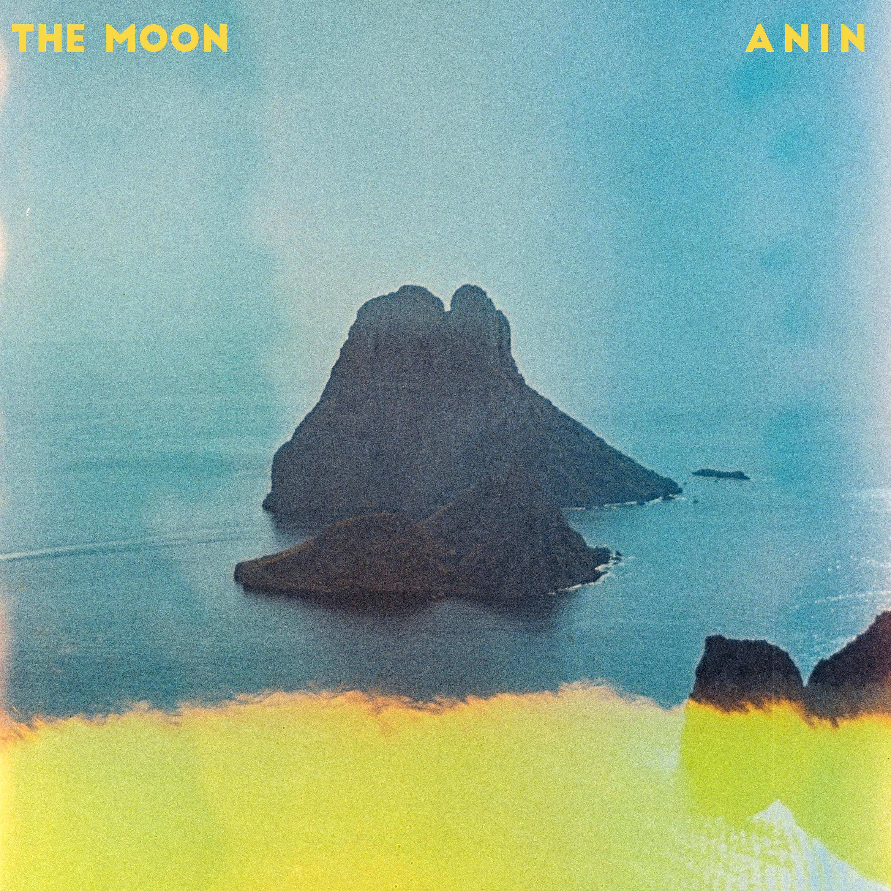 Постер альбома Anin
