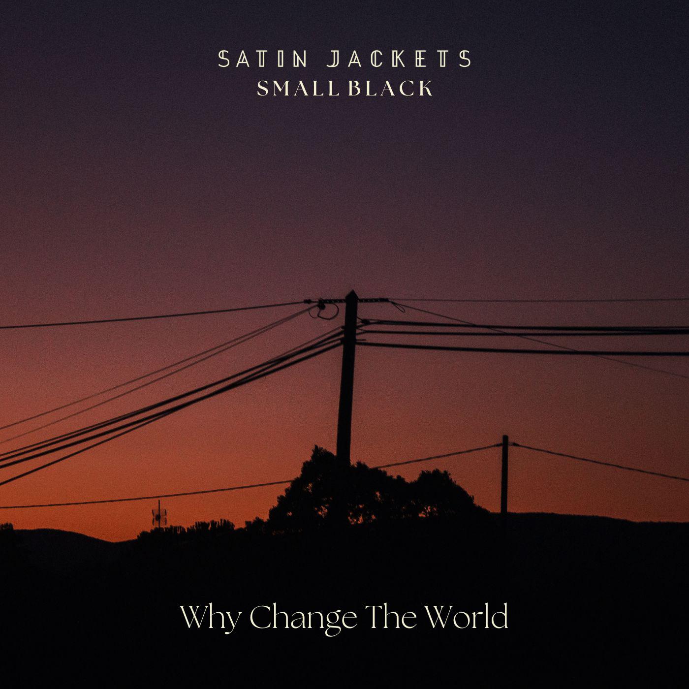 Постер альбома Why Change The World