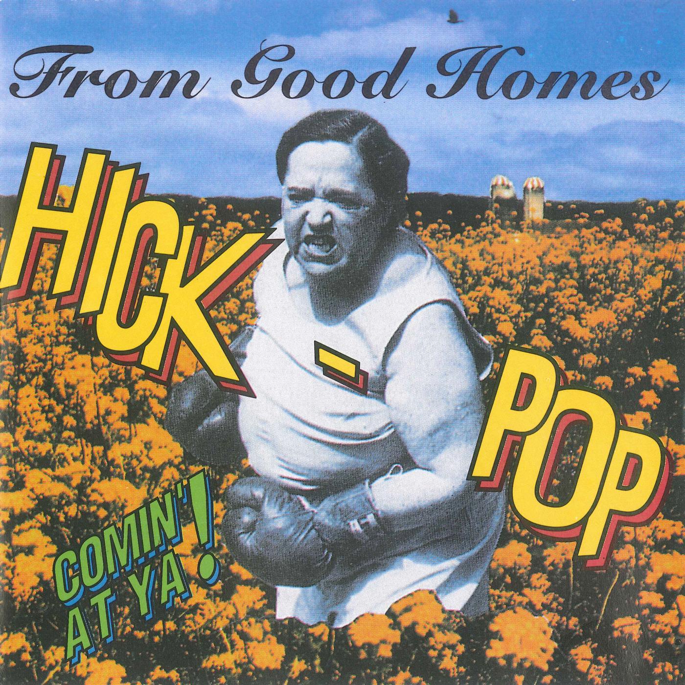 Постер альбома Hick-Pop Comin' at Ya!