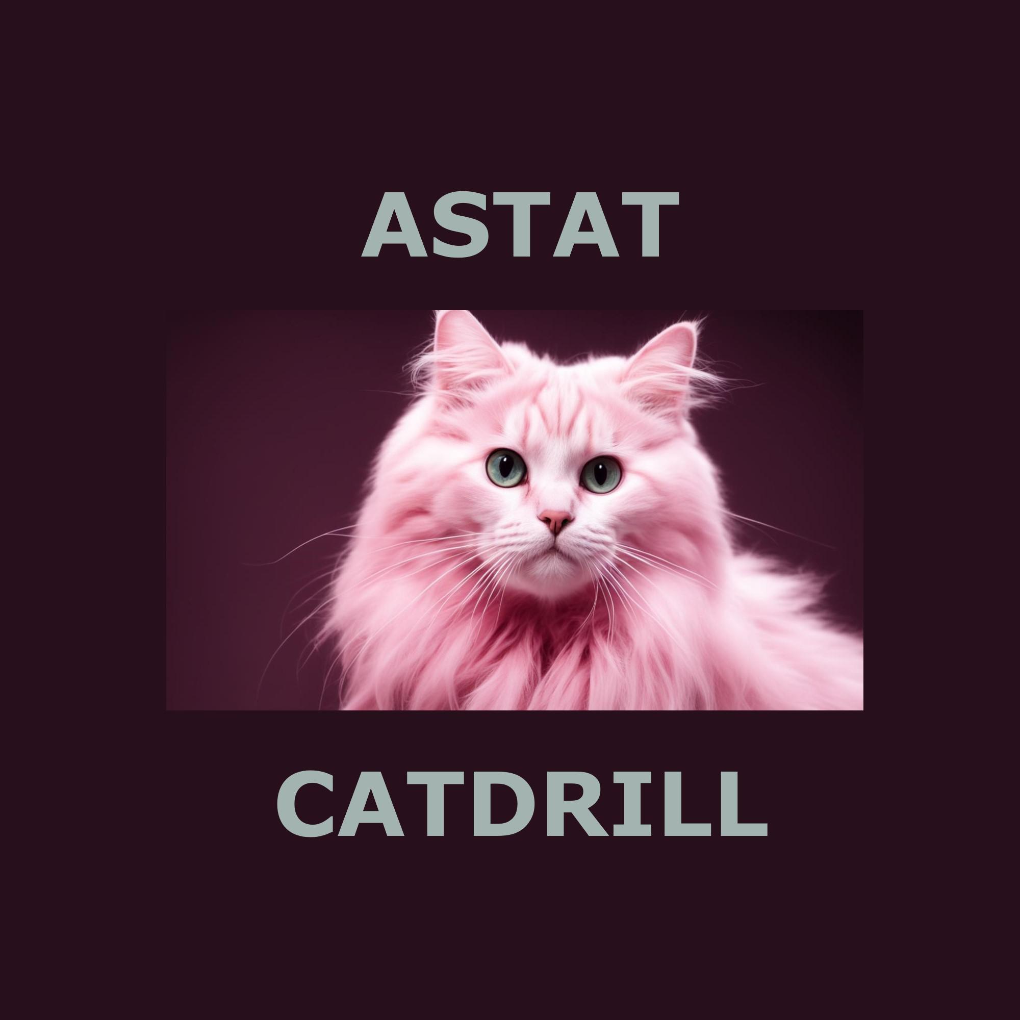 Постер альбома Catdrill