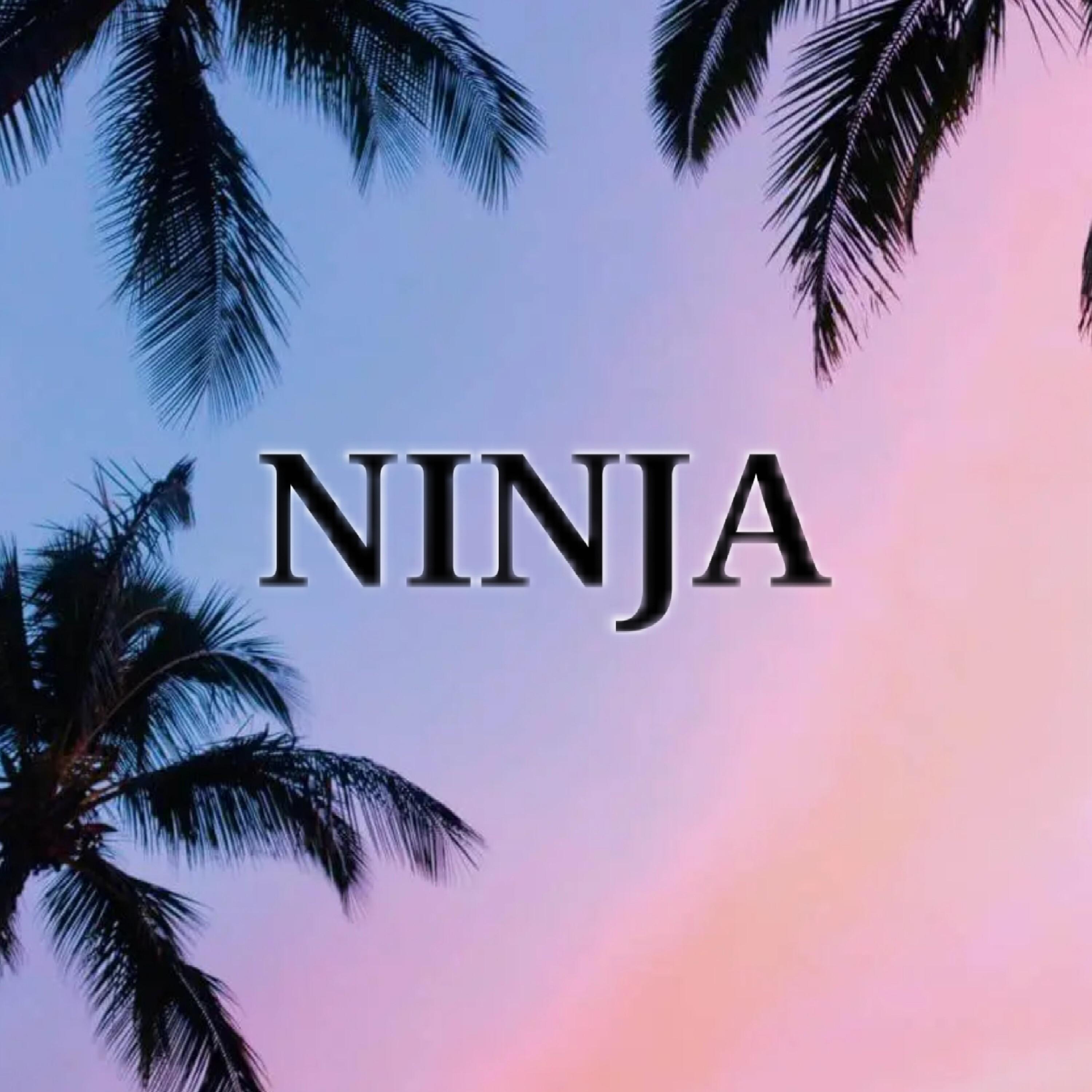Постер альбома NINJA