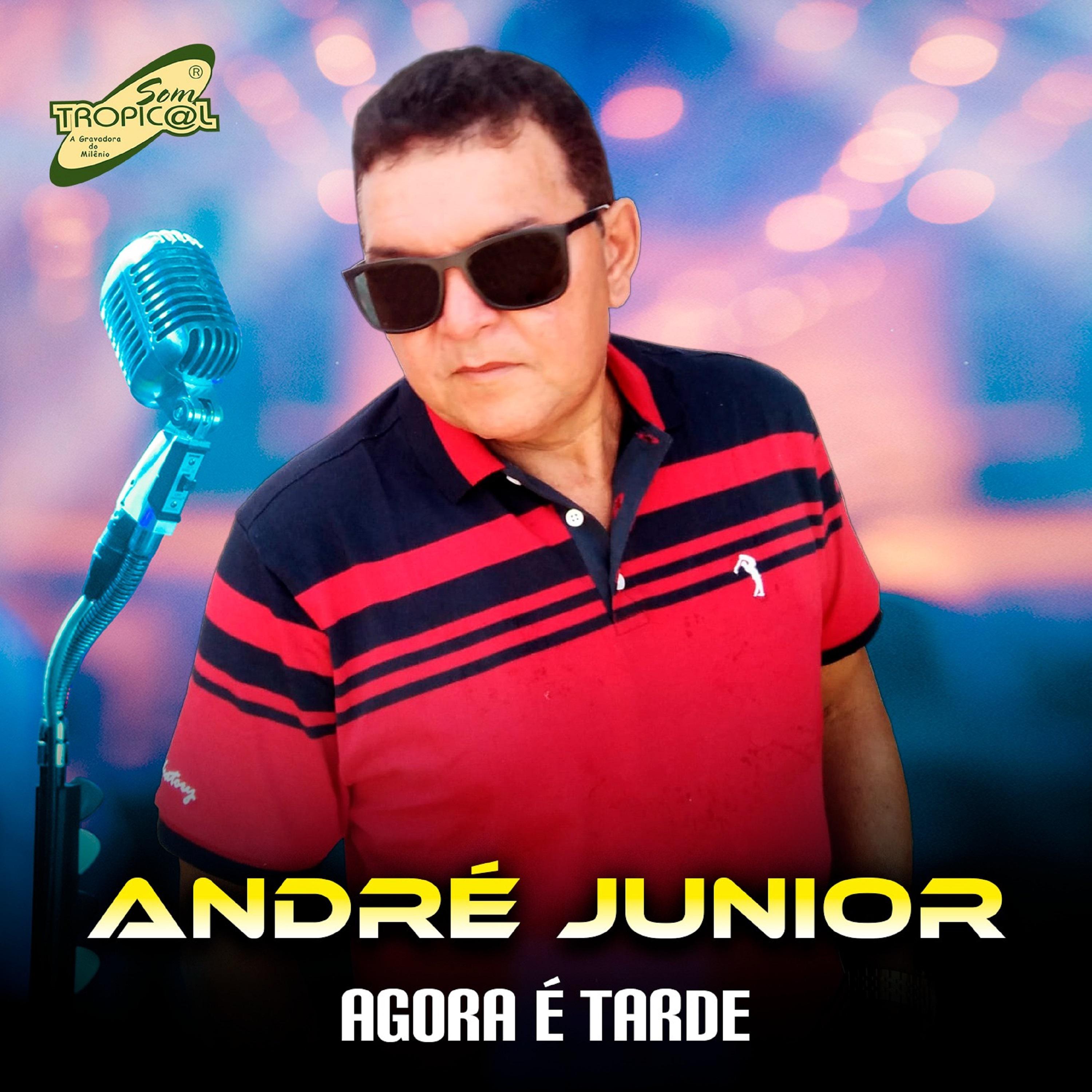 Постер альбома Agora É Tarde