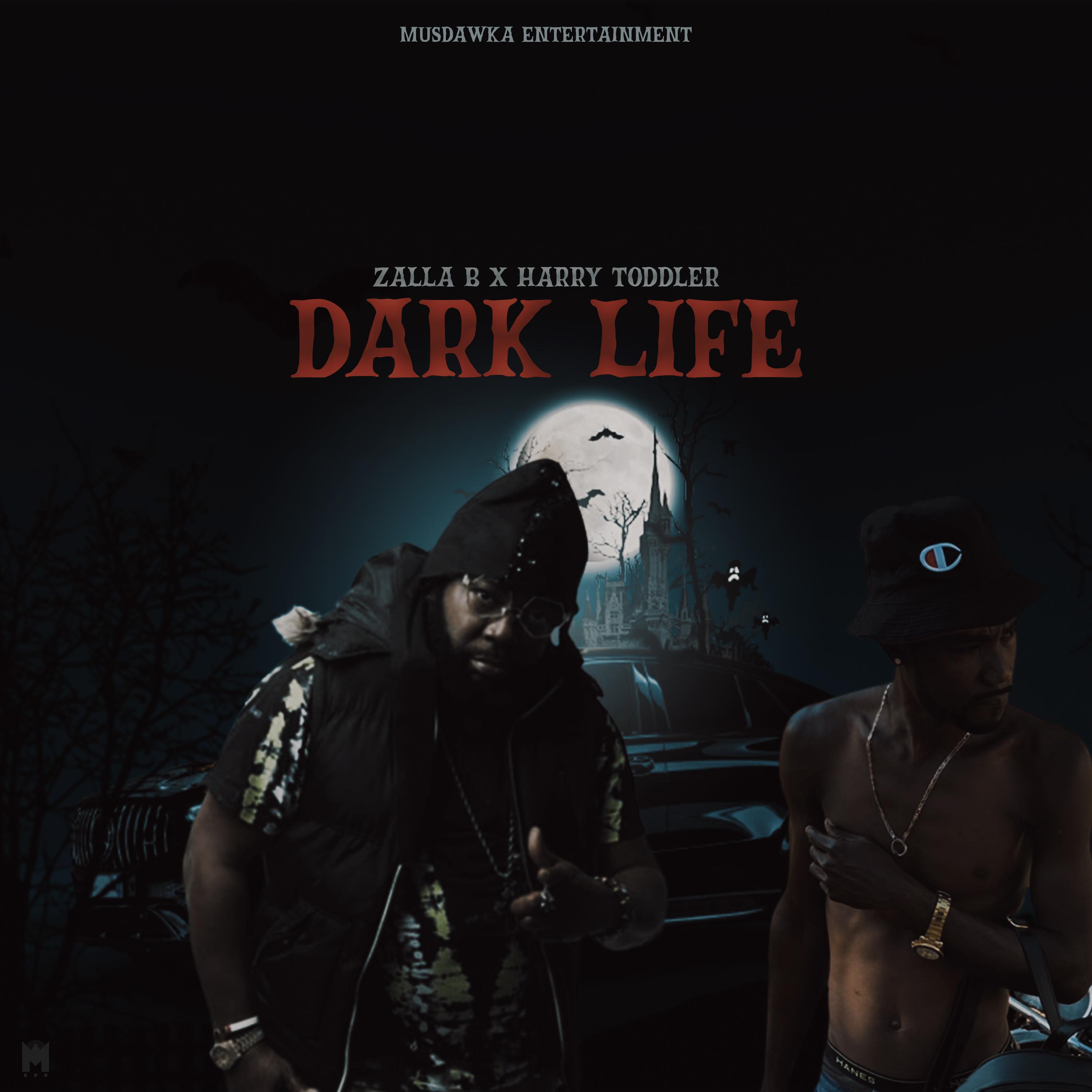 Постер альбома Dark Life