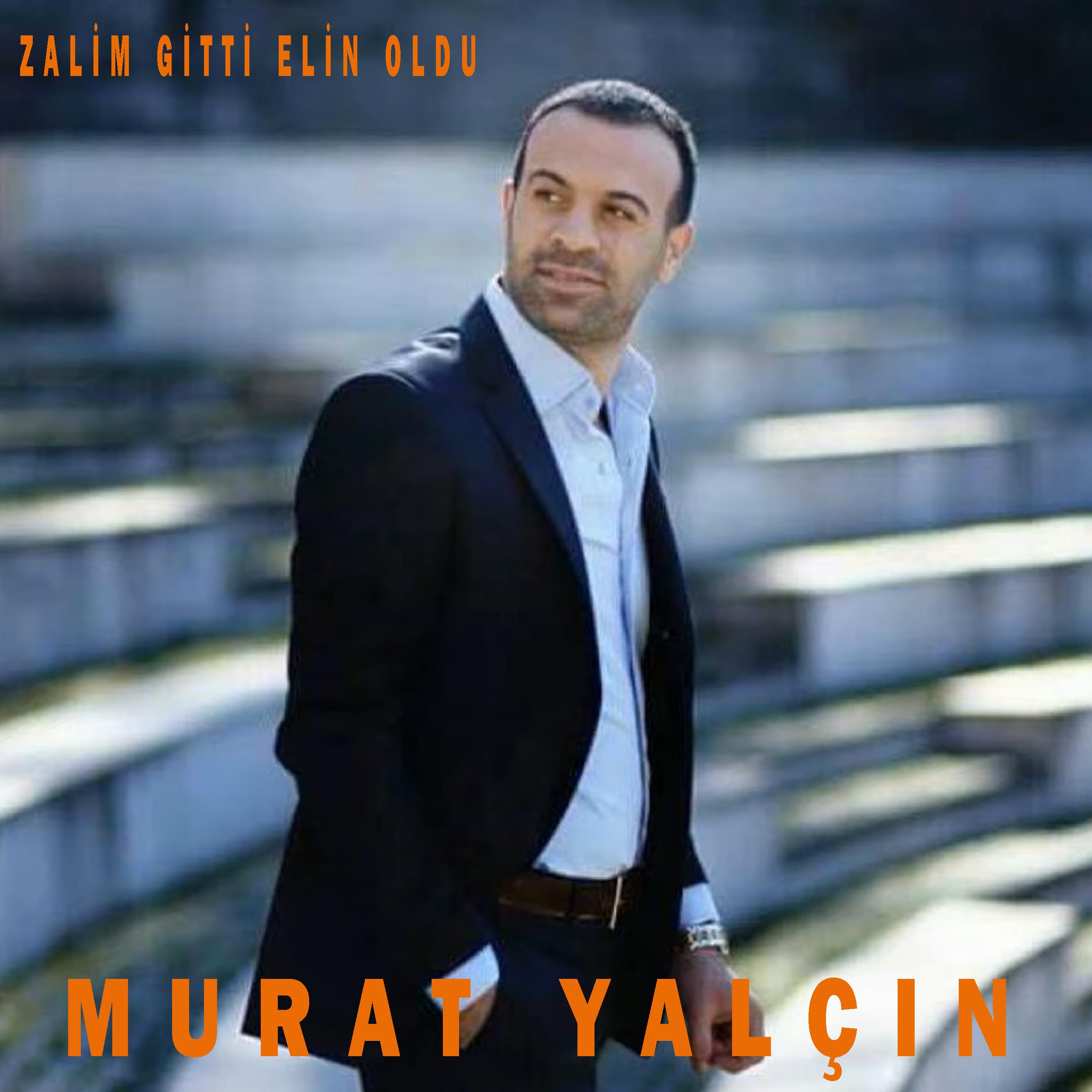 Постер альбома Zalim Gitti Elin Oldu