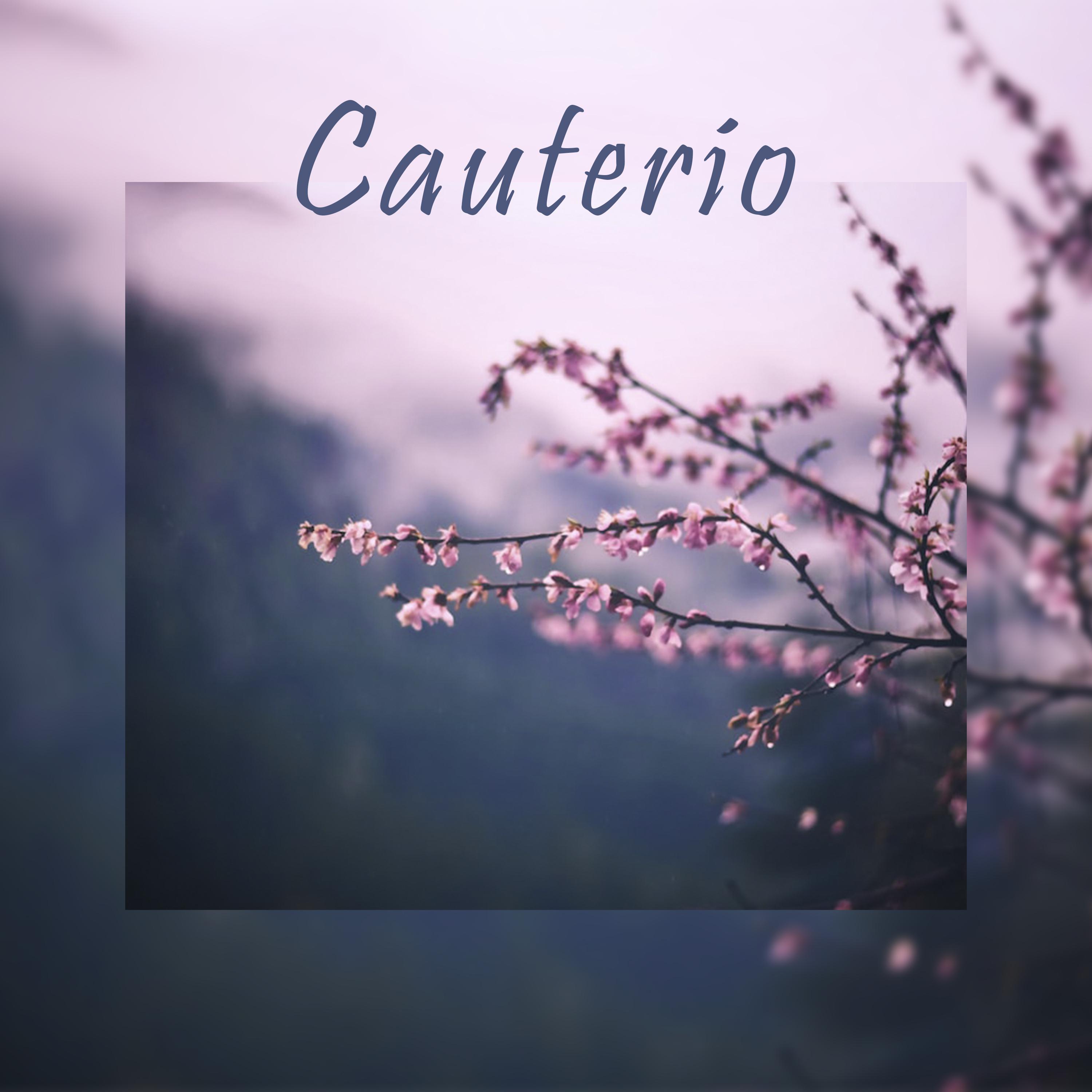 Постер альбома Cauterio