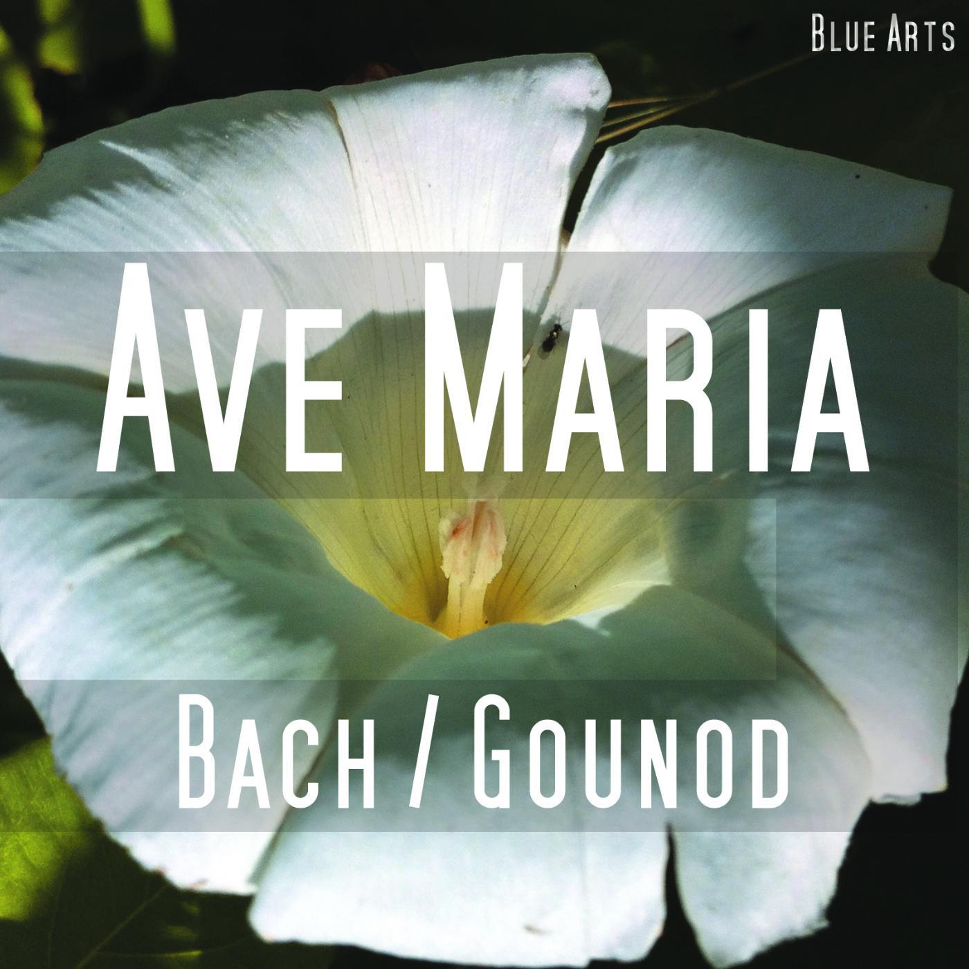 Постер альбома Ave Maria ( Bach , Gounod )