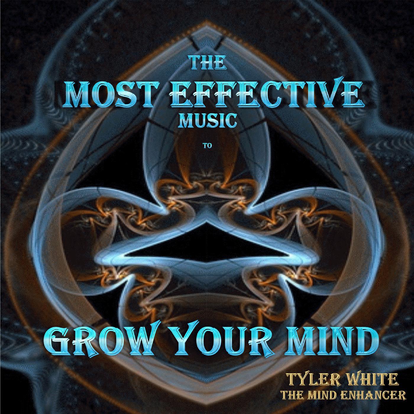 Tyler White – The Mind Enhancer - Action Constantly to Move Forward (D J Van Daler Love)