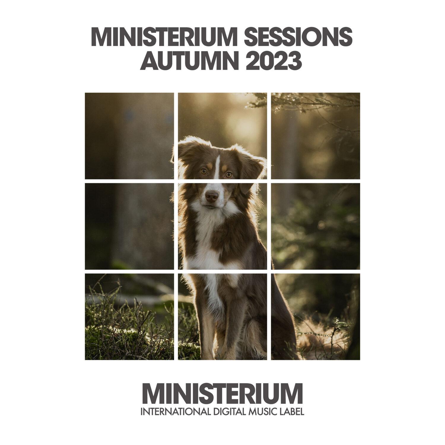 Постер альбома Ministerium Sessions 2023