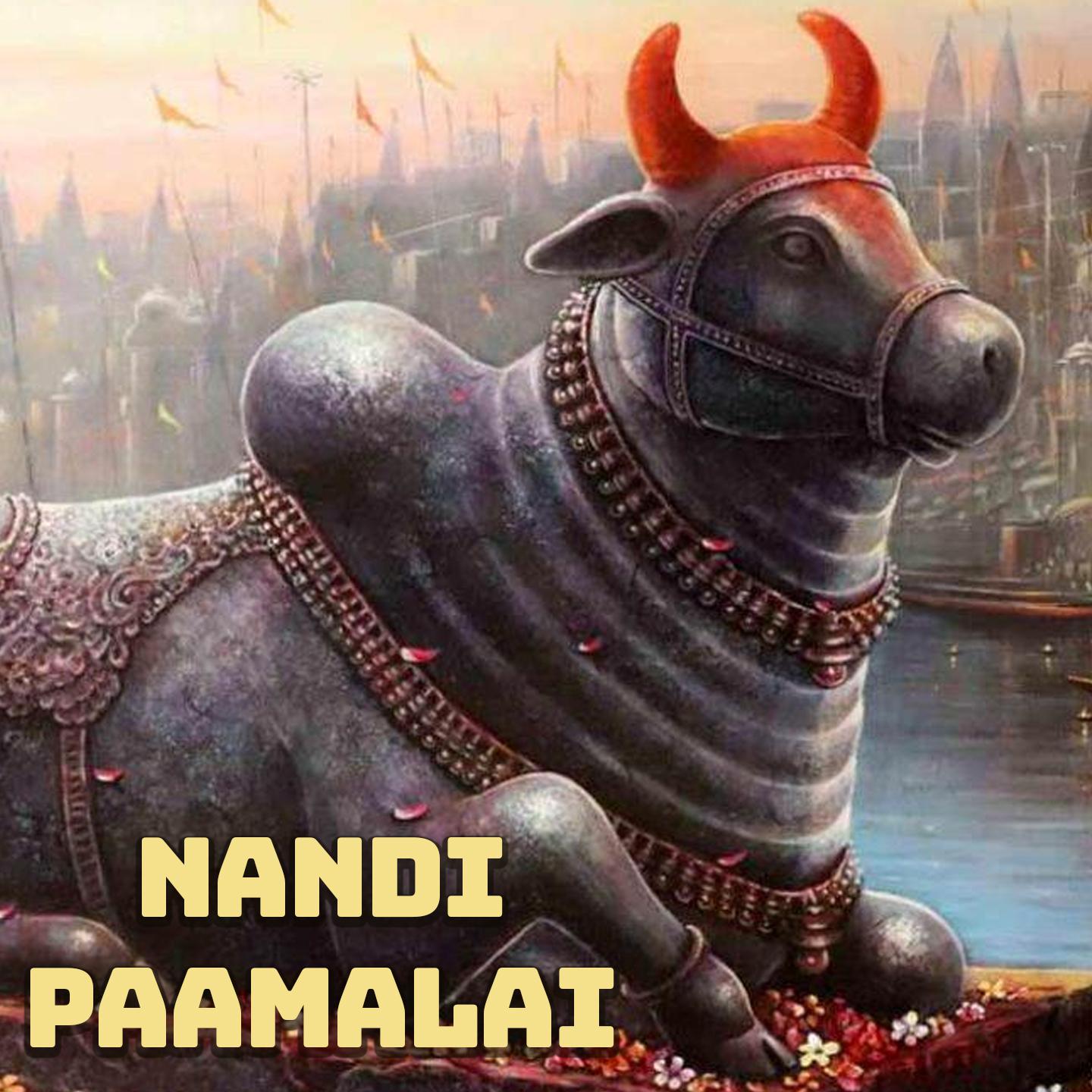 Постер альбома Nandi Paamalai