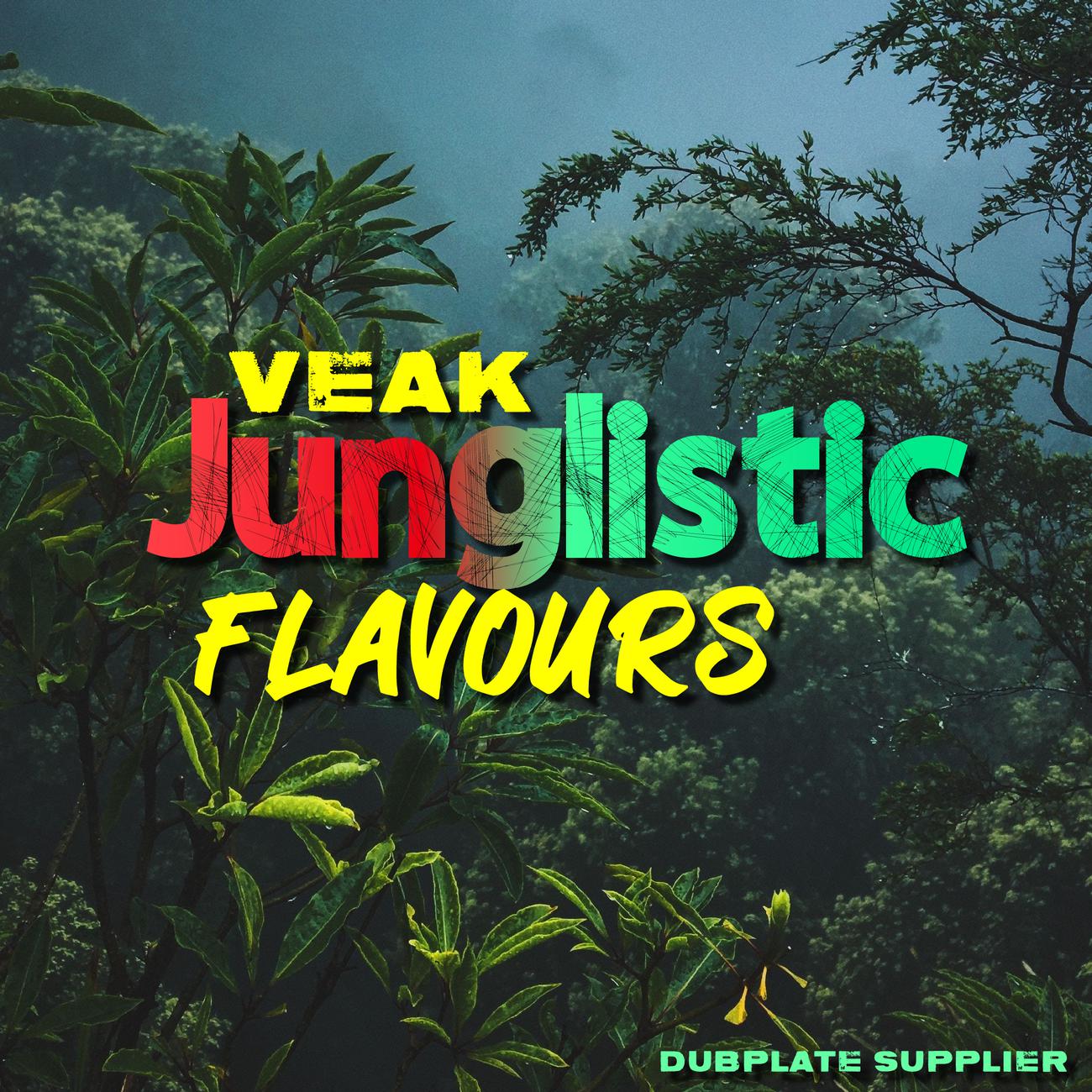 Постер альбома Junglistic Flavours