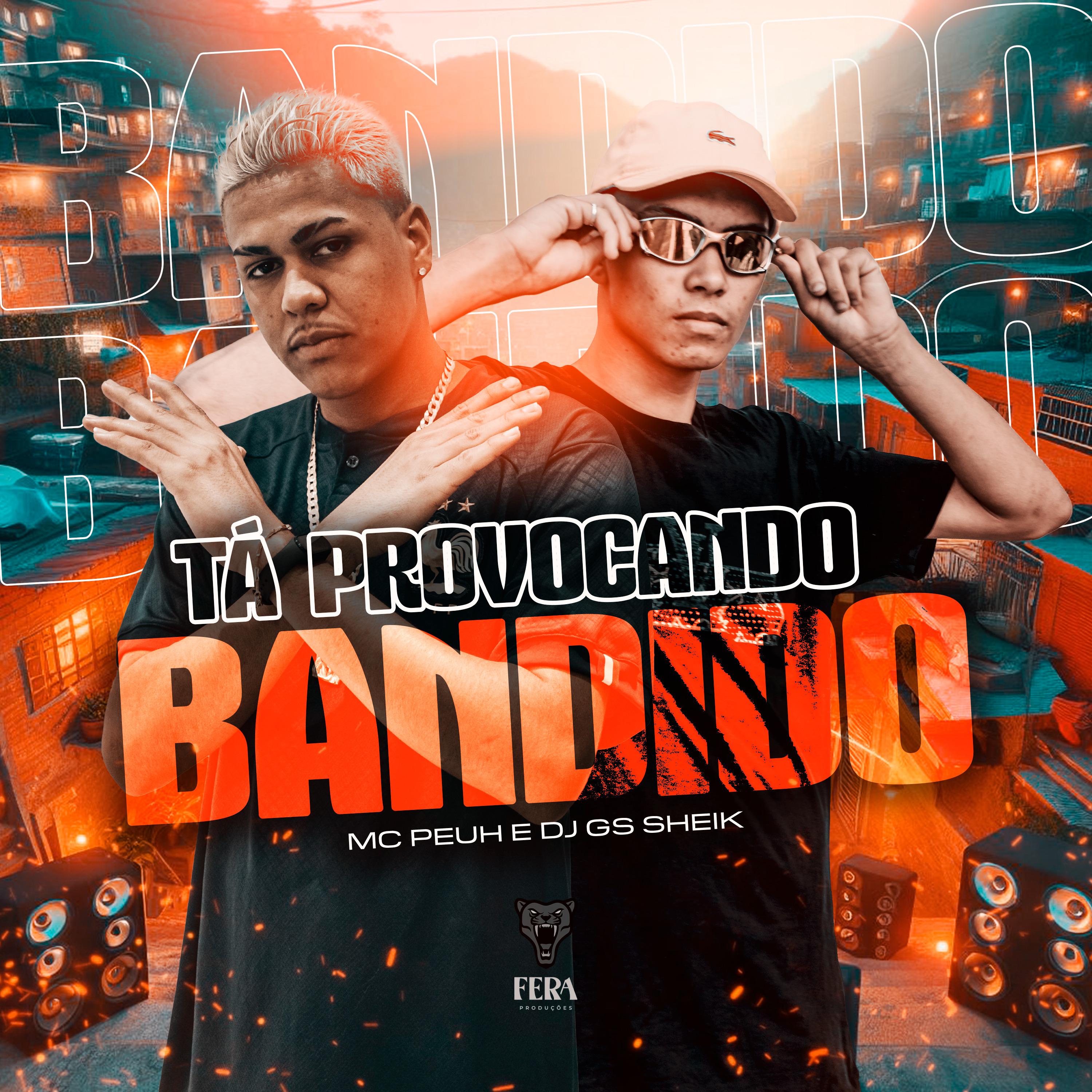 Постер альбома Ta Provocando Bandido