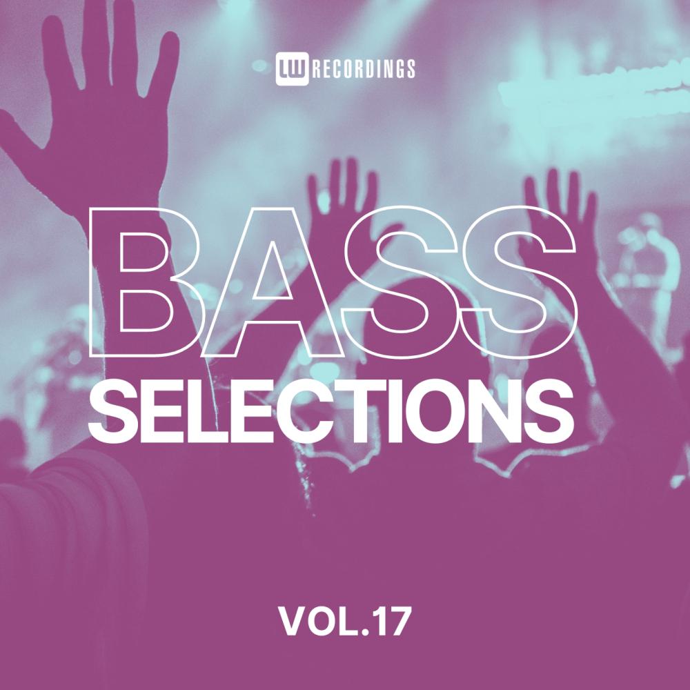 Постер альбома Bass Selections, Vol. 17