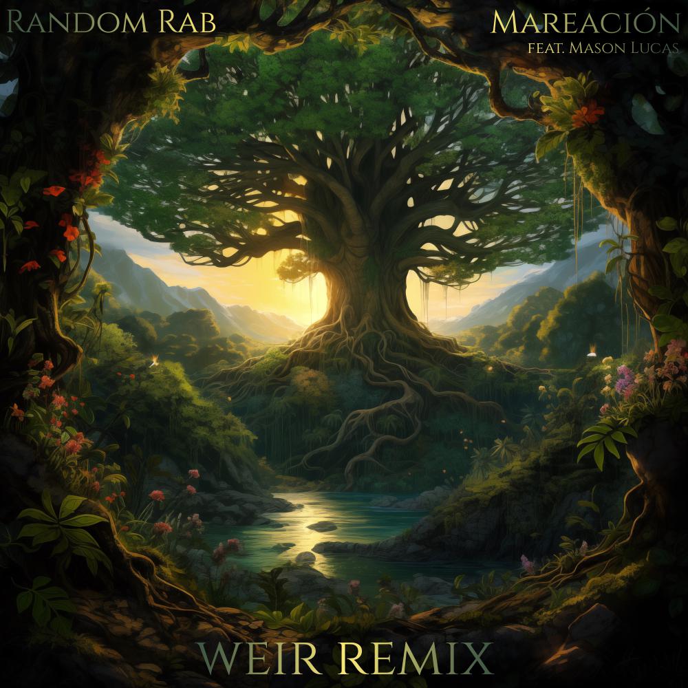 Постер альбома Mareación (Weir Remix)