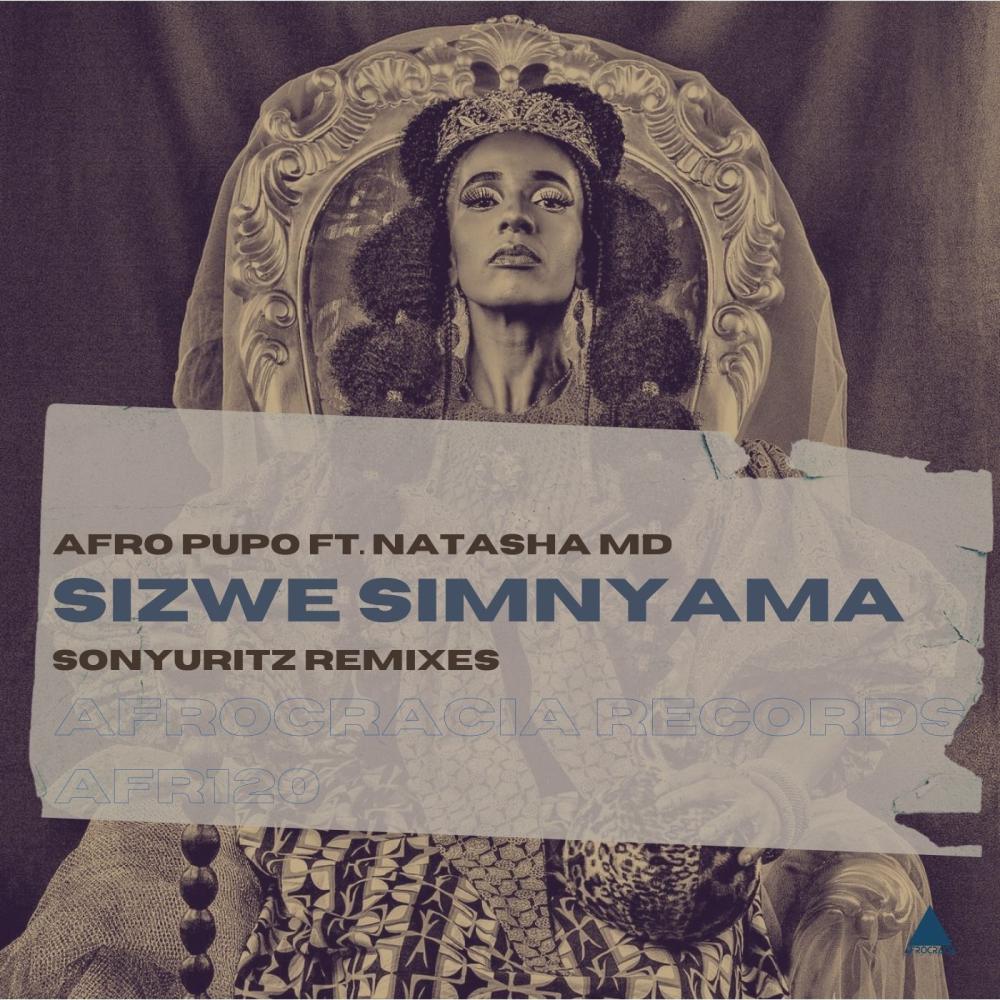 Постер альбома Sizwe Simnyama (SonyUritz Remixes)