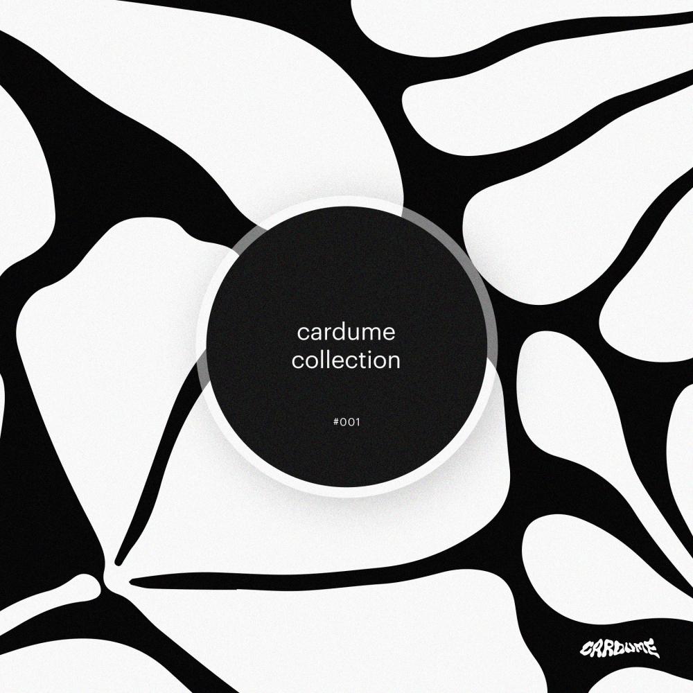 Постер альбома Cardume Collection #001