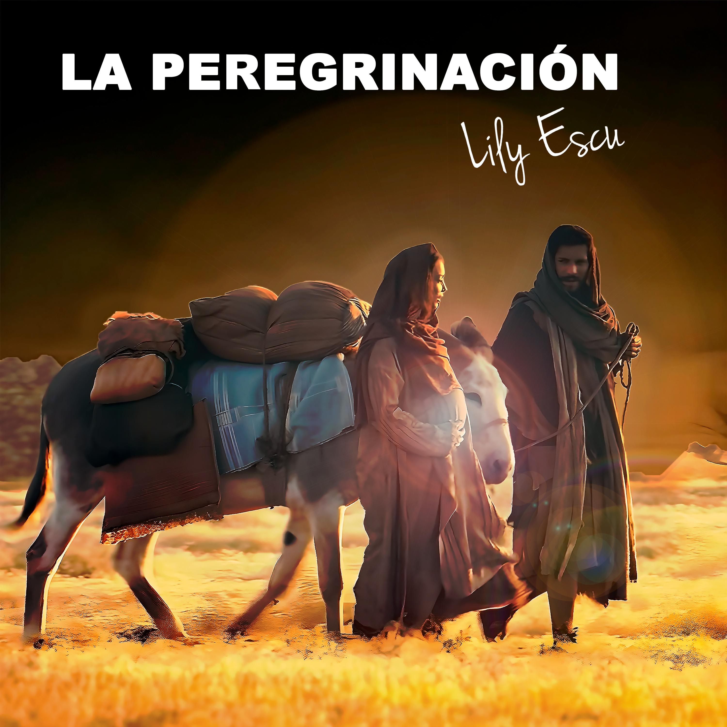 Постер альбома La Peregrinación