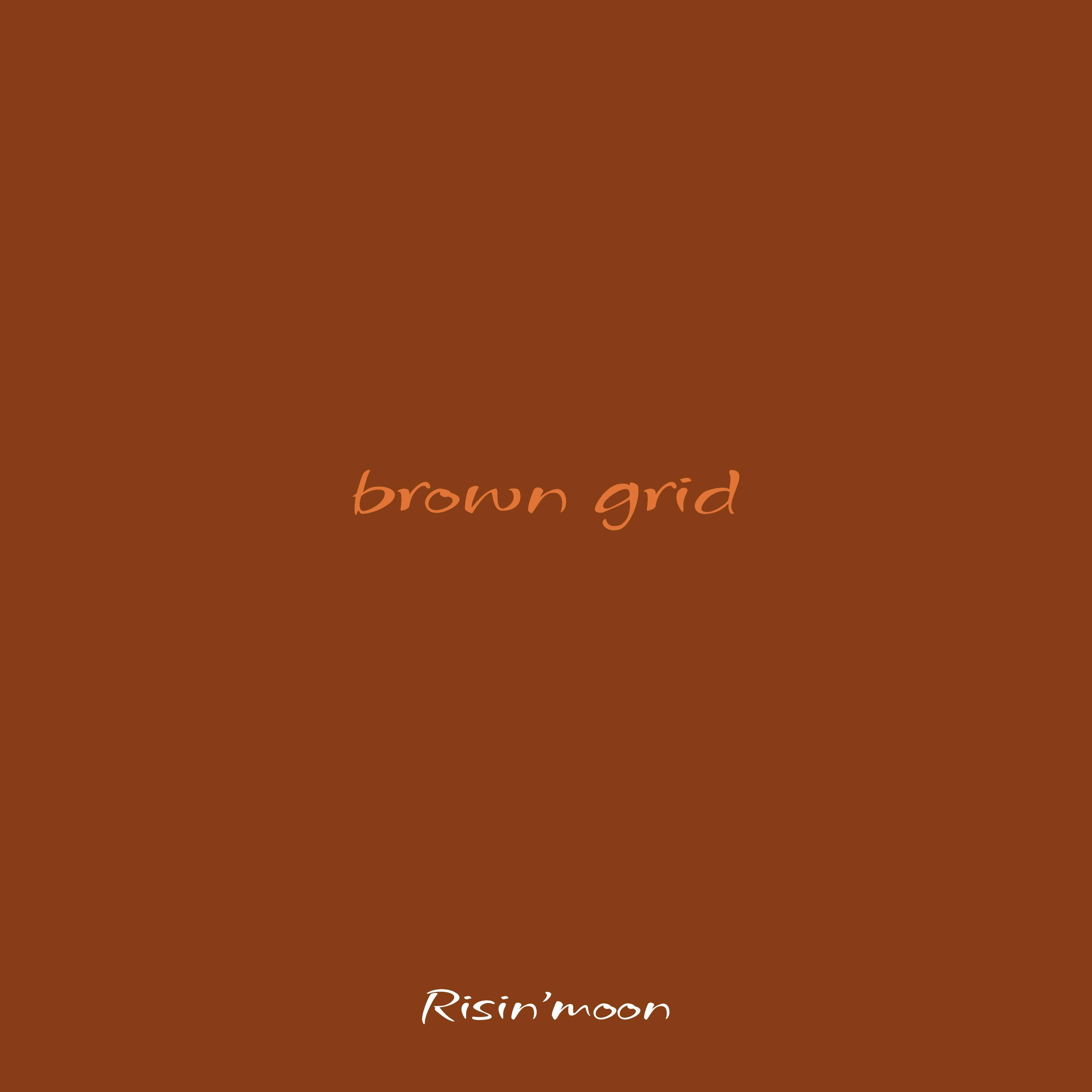Постер альбома Brown Grid