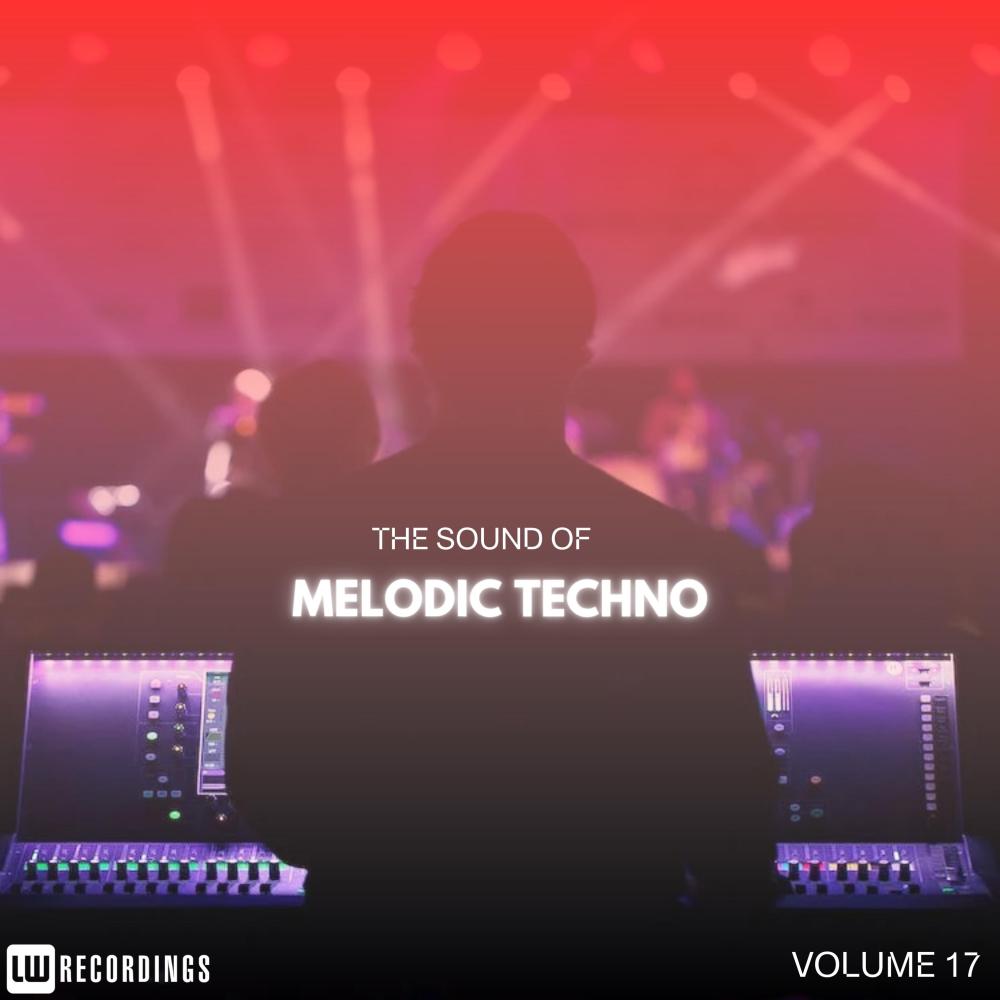 Постер альбома The Sound Of Melodic Techno, Vol. 17
