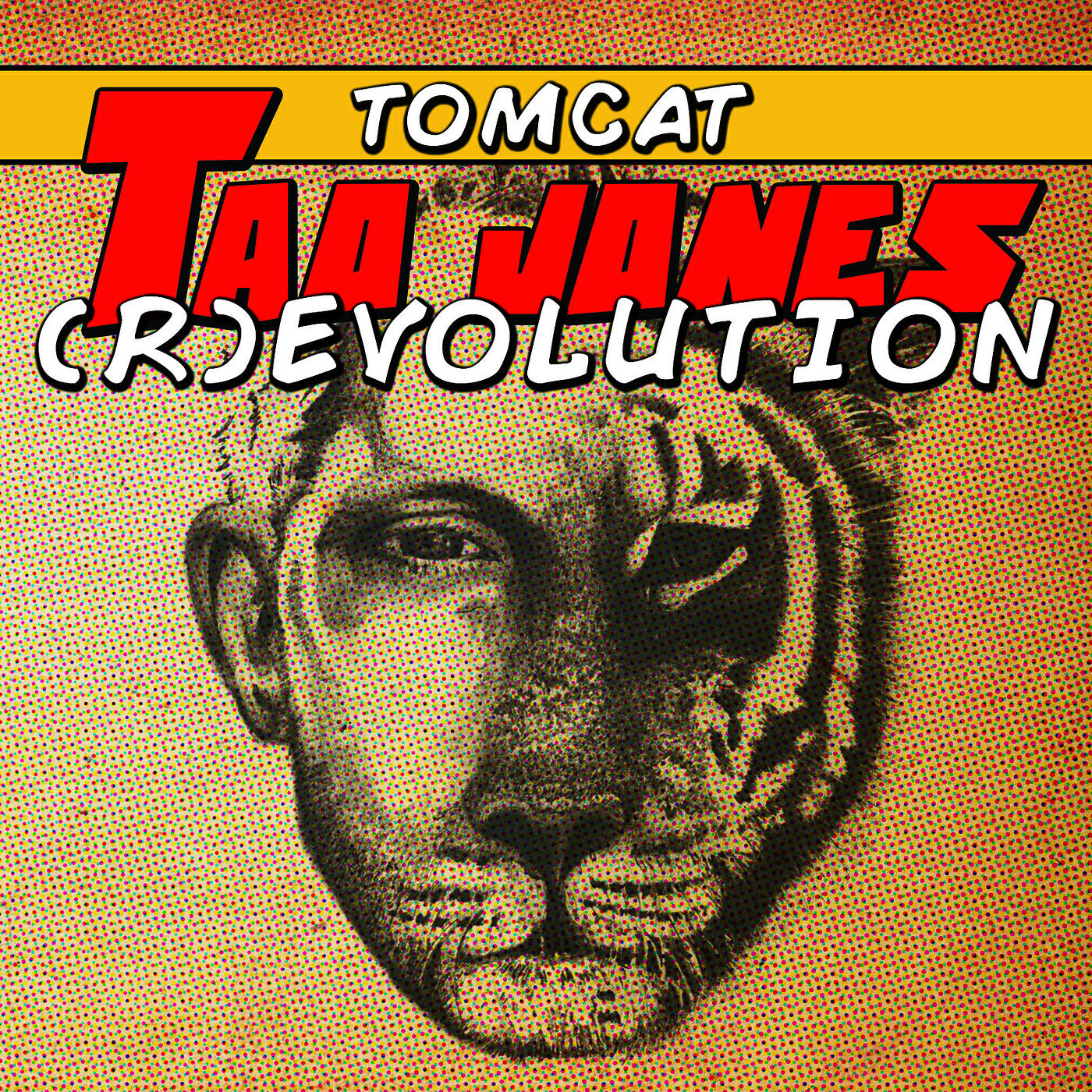 TomCat - Soul System (Meena Shamaly Remix)