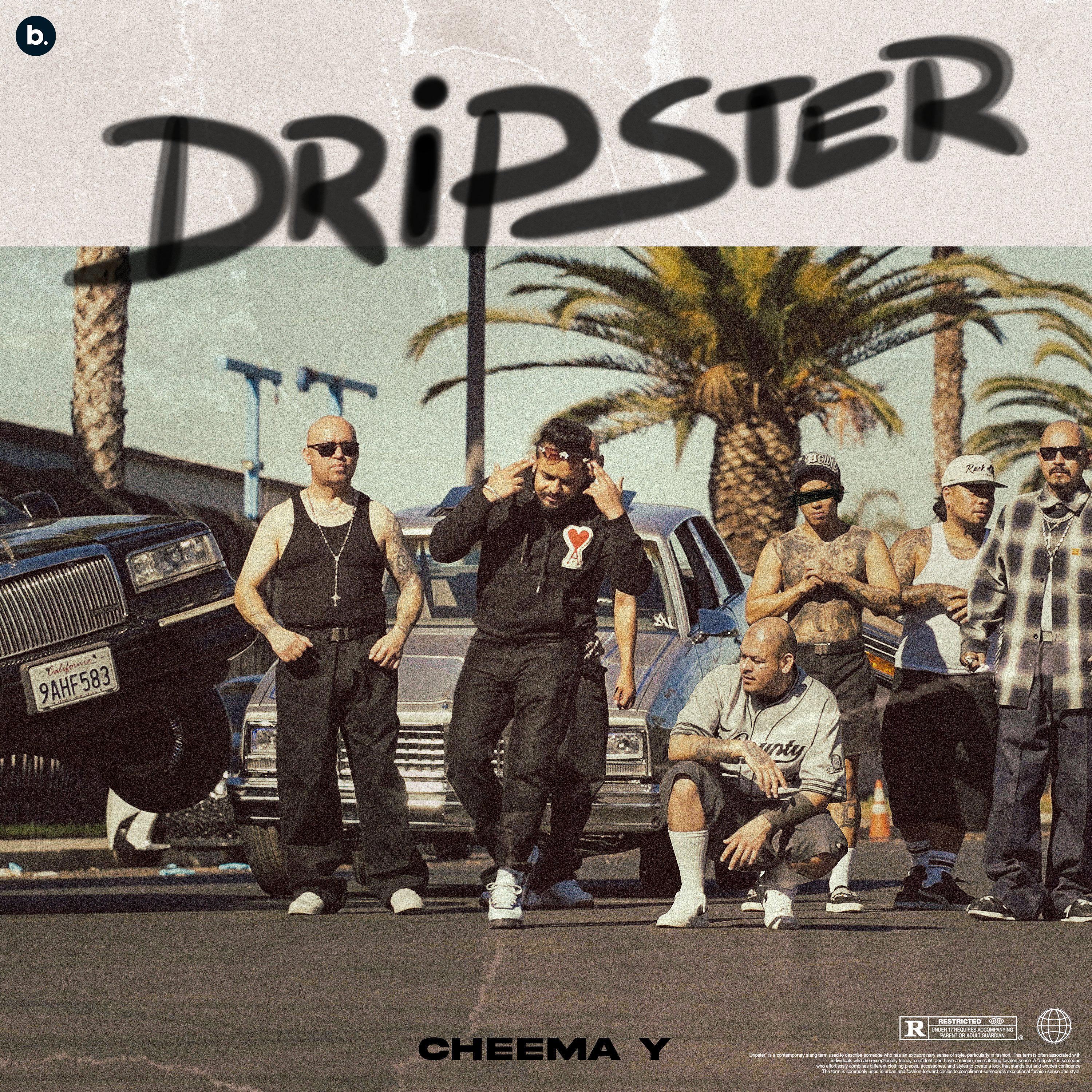Постер альбома Dripster