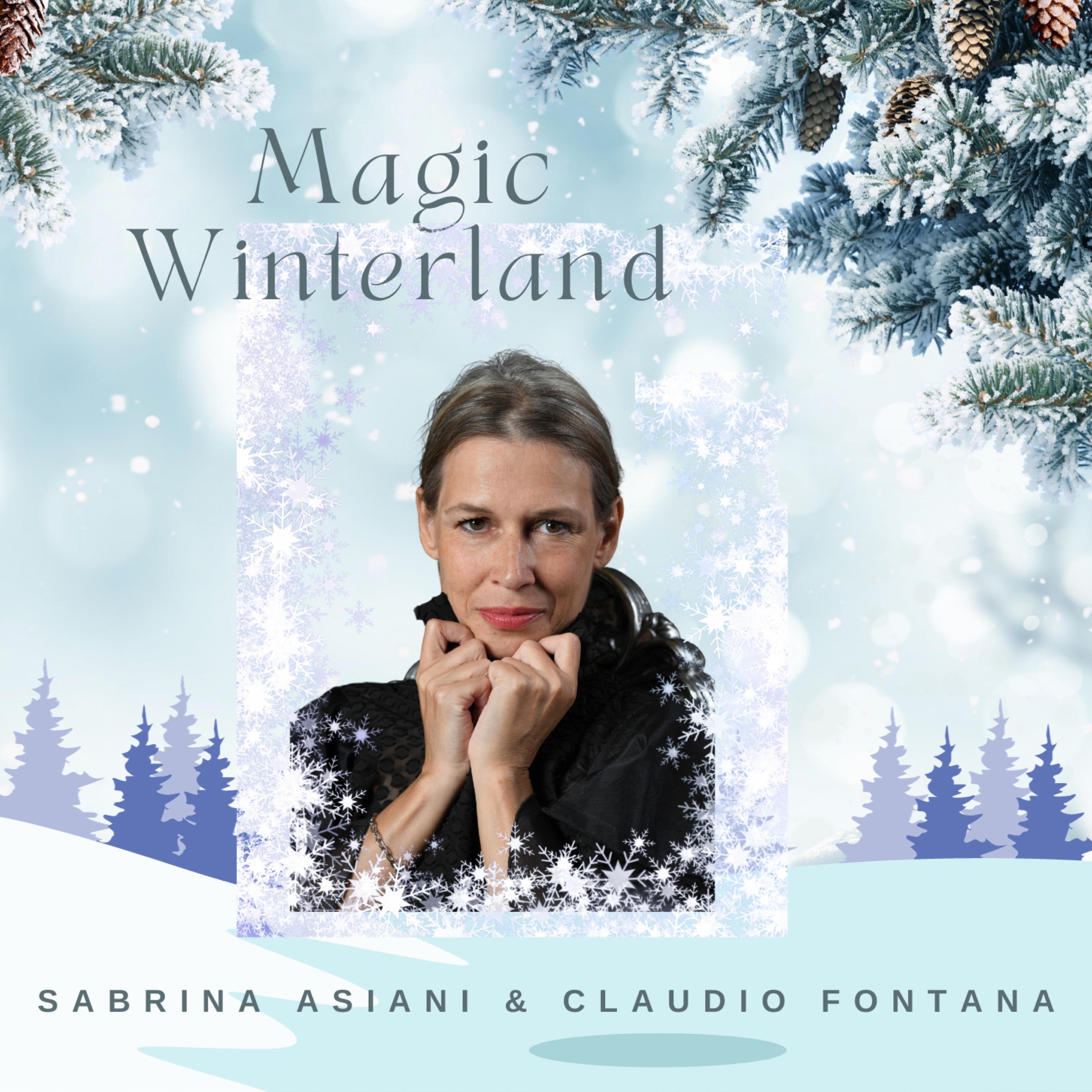 Постер альбома Magic Winterland