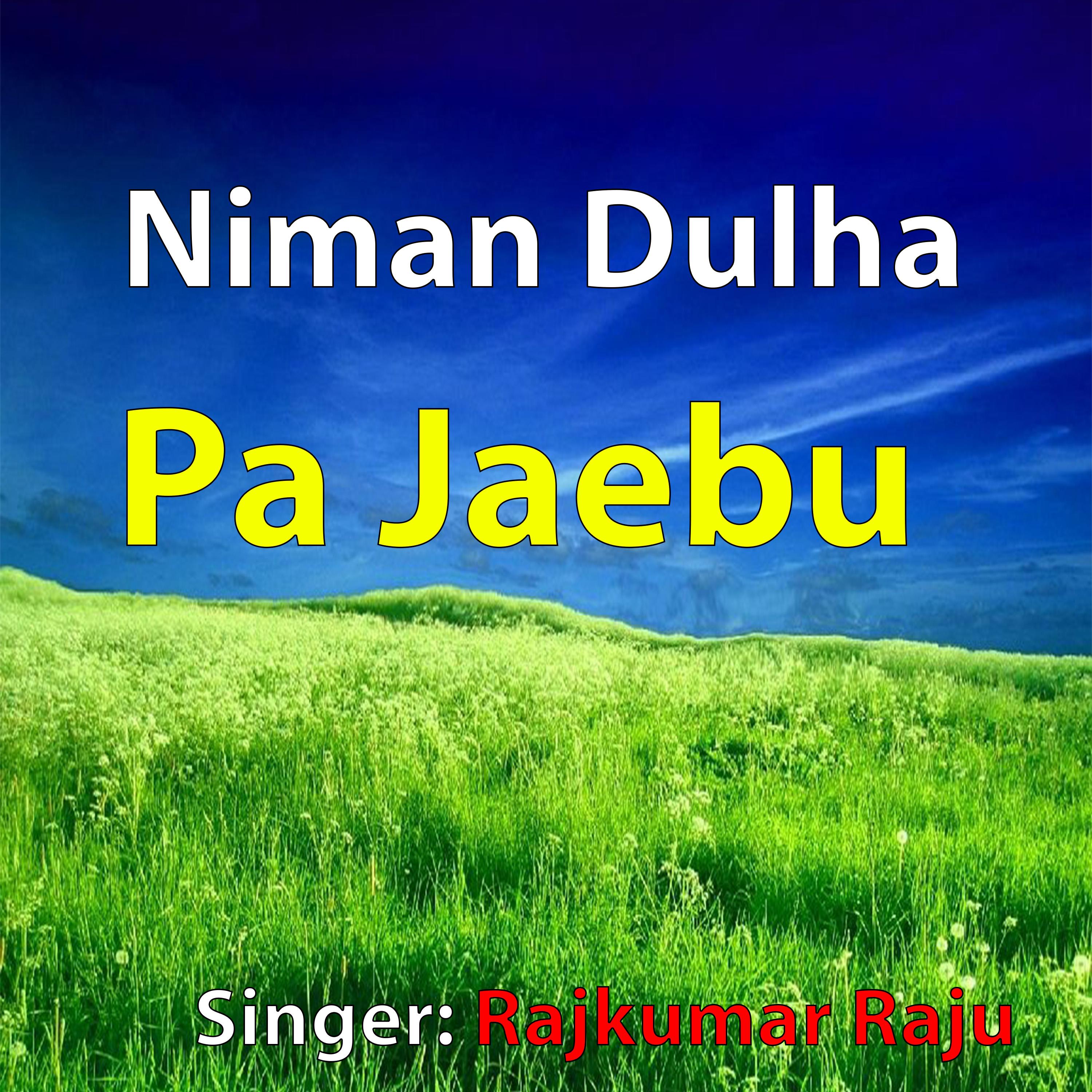 Постер альбома Niman Dulha Pa Jaebu