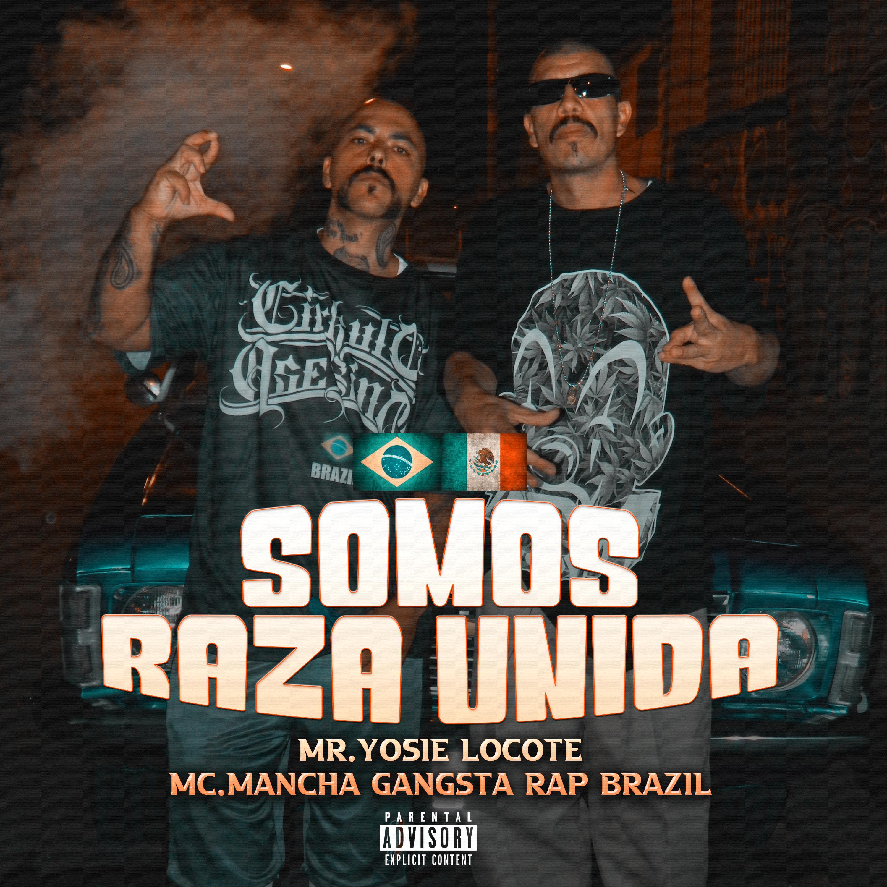 Постер альбома Somos Raza Unida (México & Brasil)