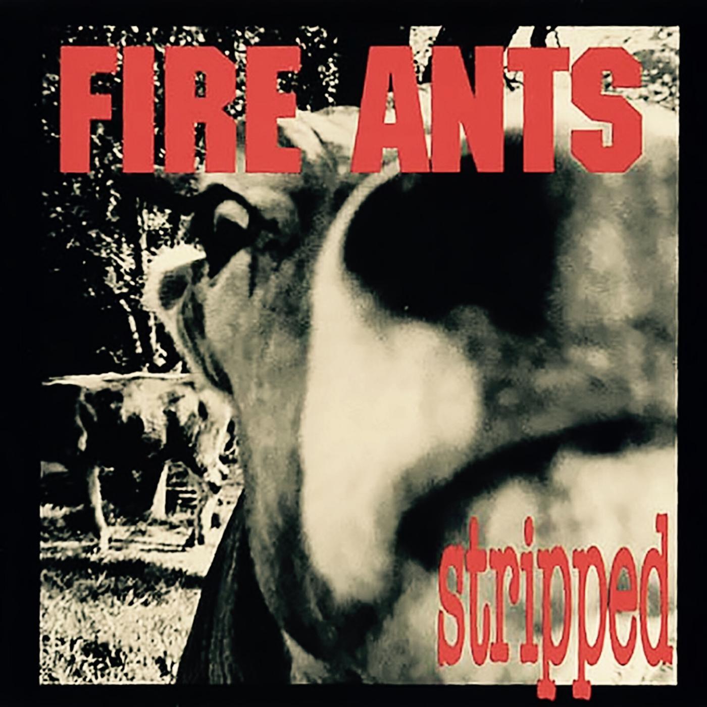 THE FIRE ANTS - Manic Depression (Demo)