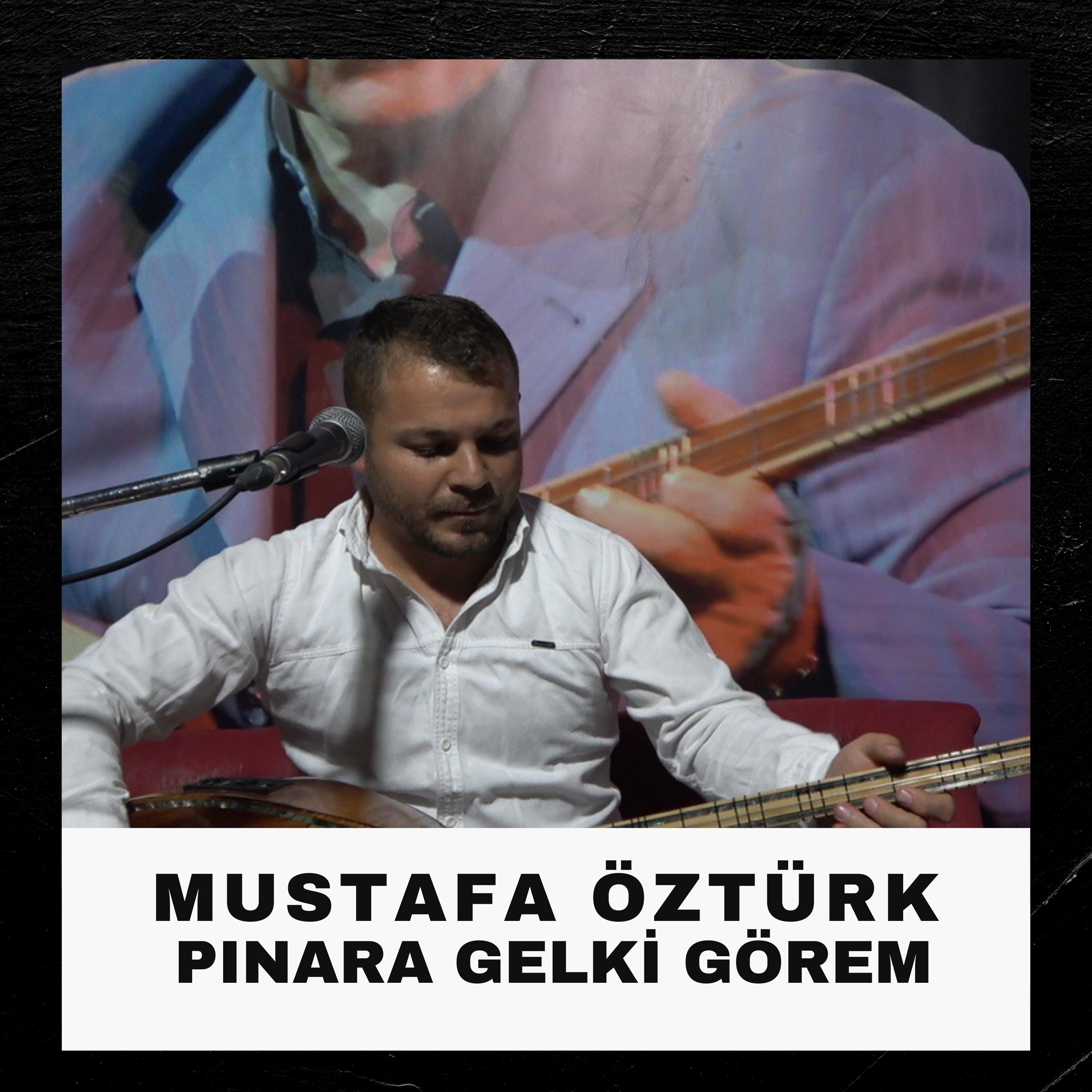 Постер альбома Pınara Gelki Görem