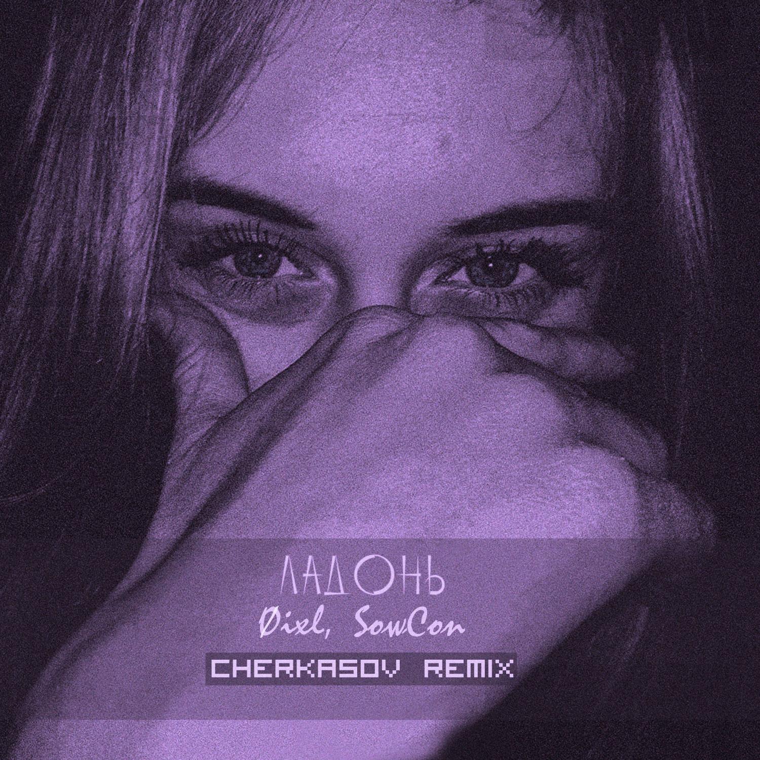 Постер альбома Ладонь (Cherkasov Remix)