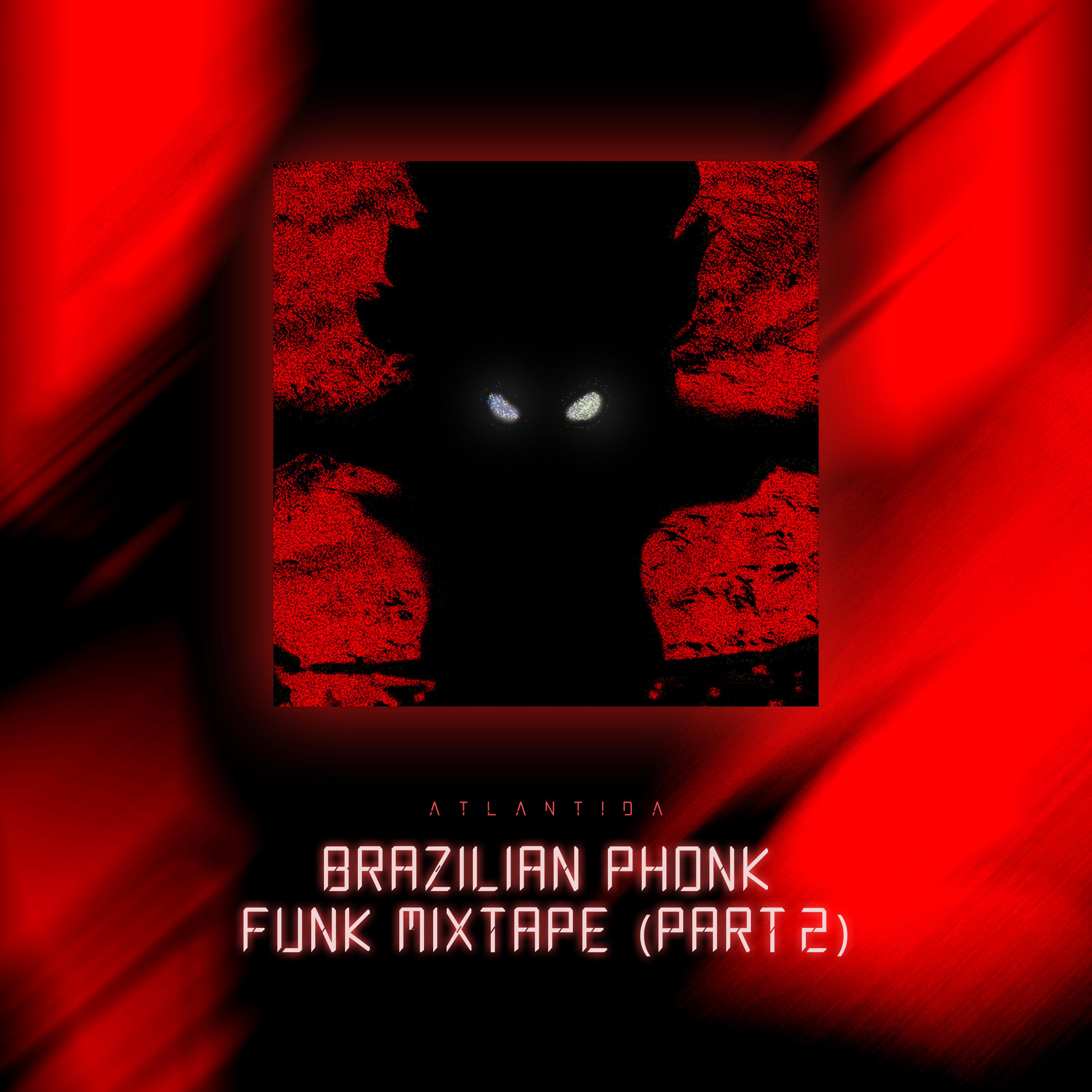 Постер альбома Brazilian Phonk Funk Mixtape, Pt. 2