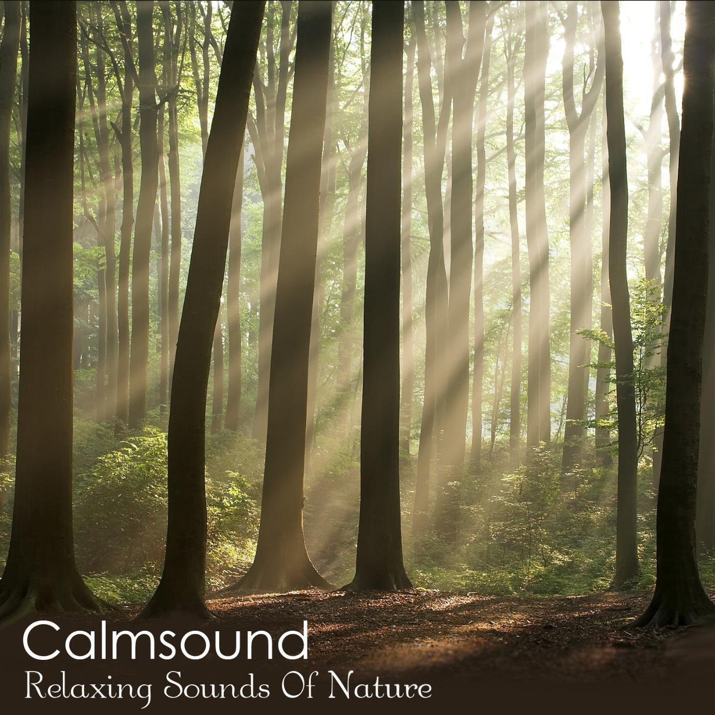 Calmsound - Blue Lagoon