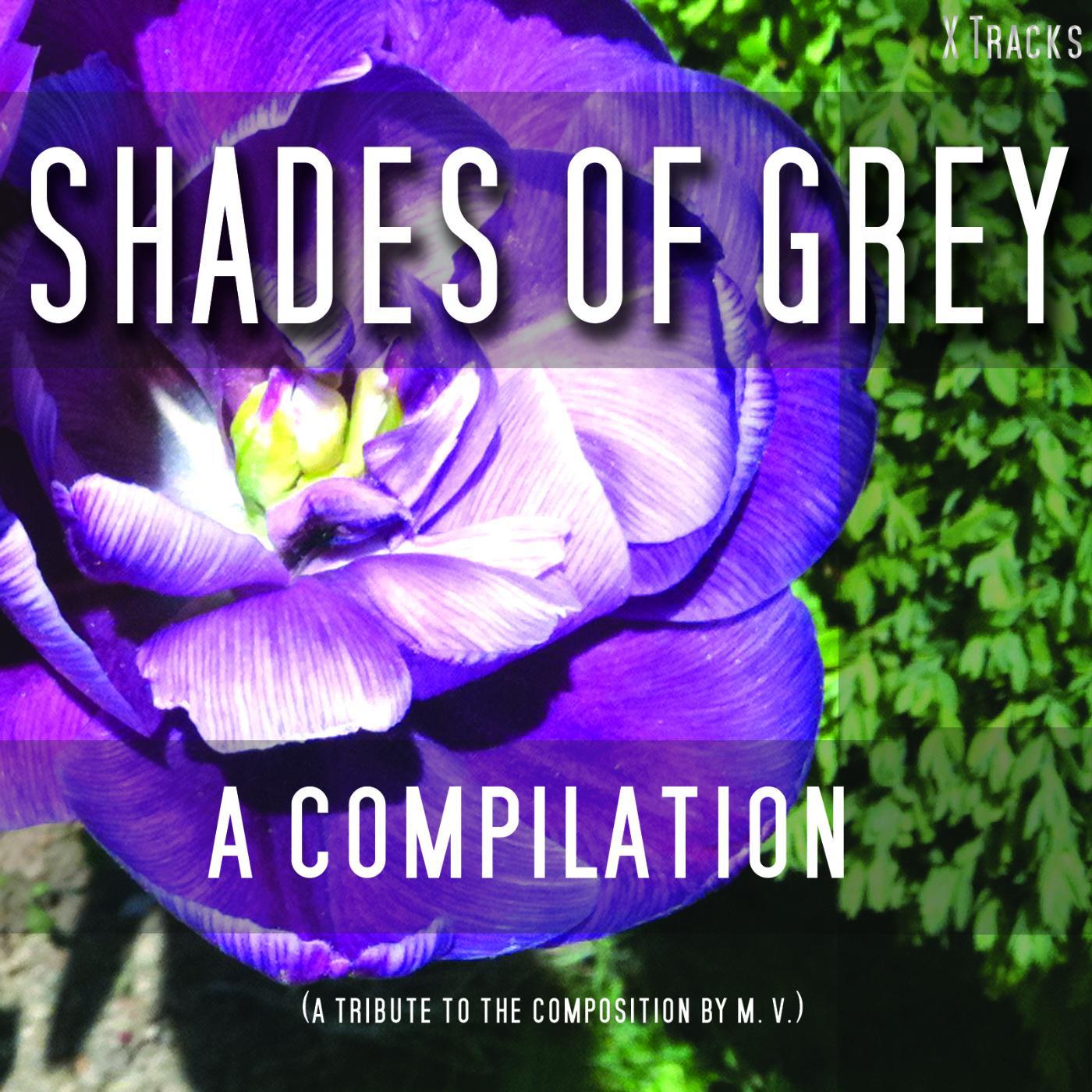 Постер альбома Shades of Grey - A Fifty Track Compilation
