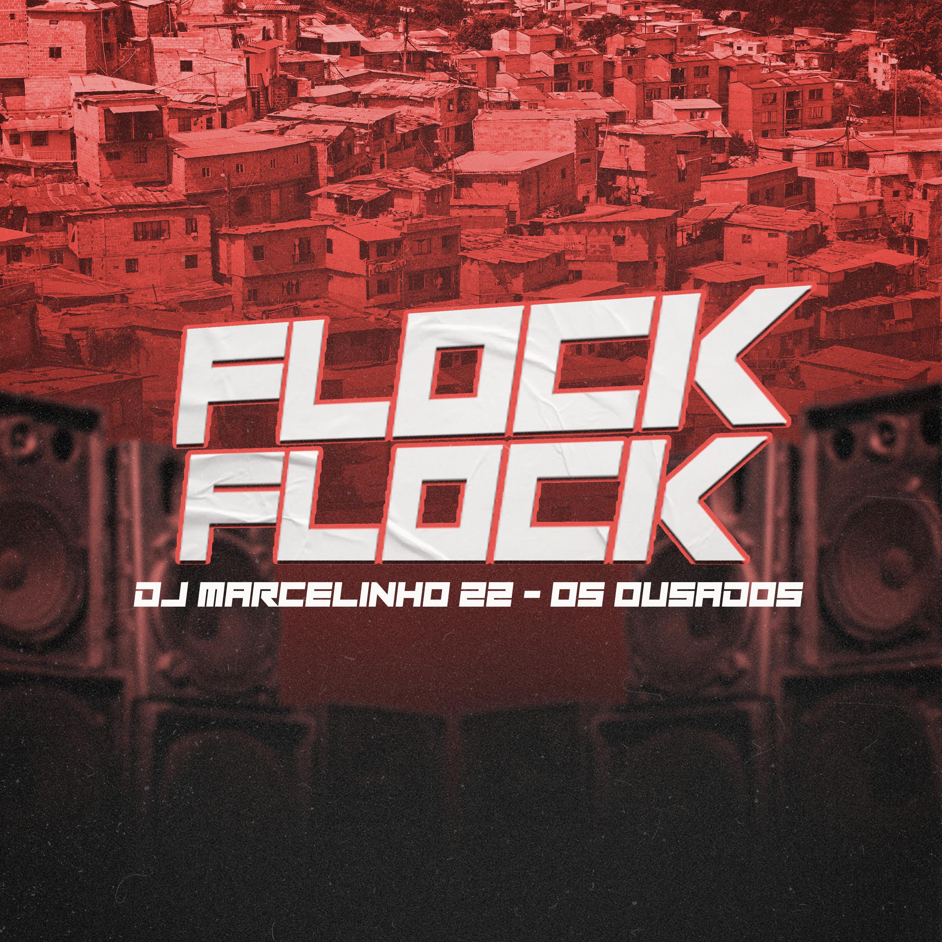 Постер альбома Flock Flock