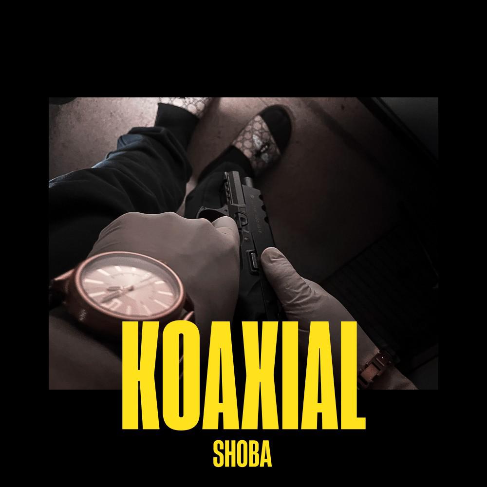 Постер альбома Koaxial
