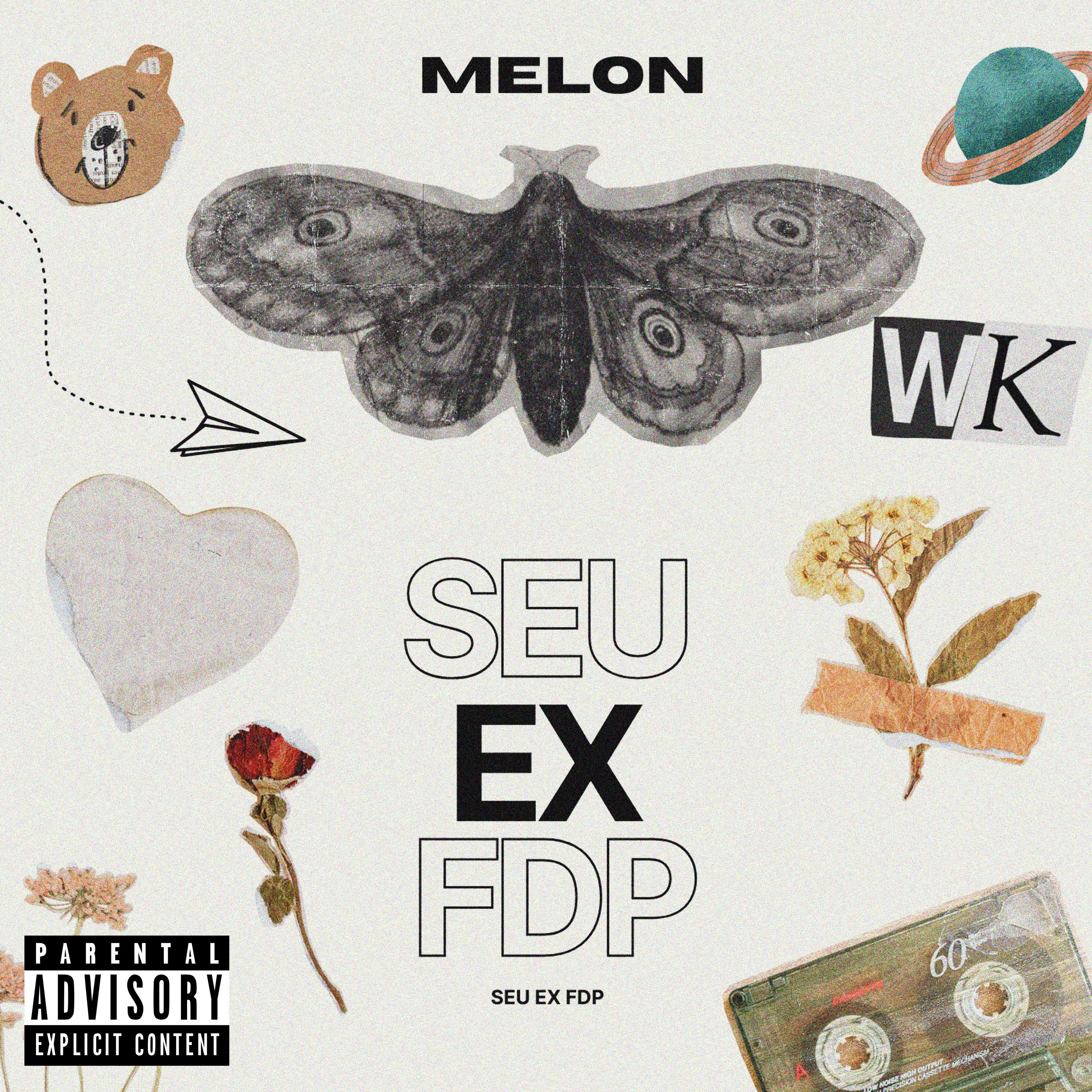 Постер альбома Seu Ex Fdp