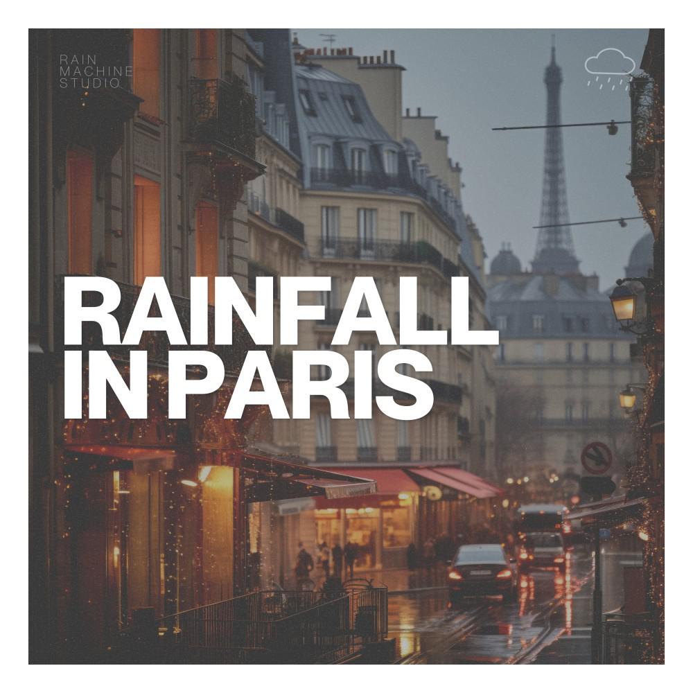 Постер альбома Rainfall in Paris