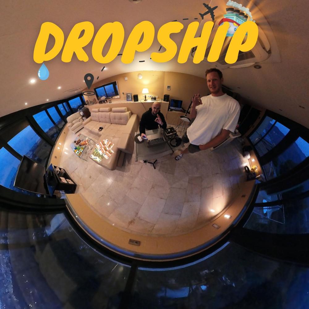 Постер альбома Dropship