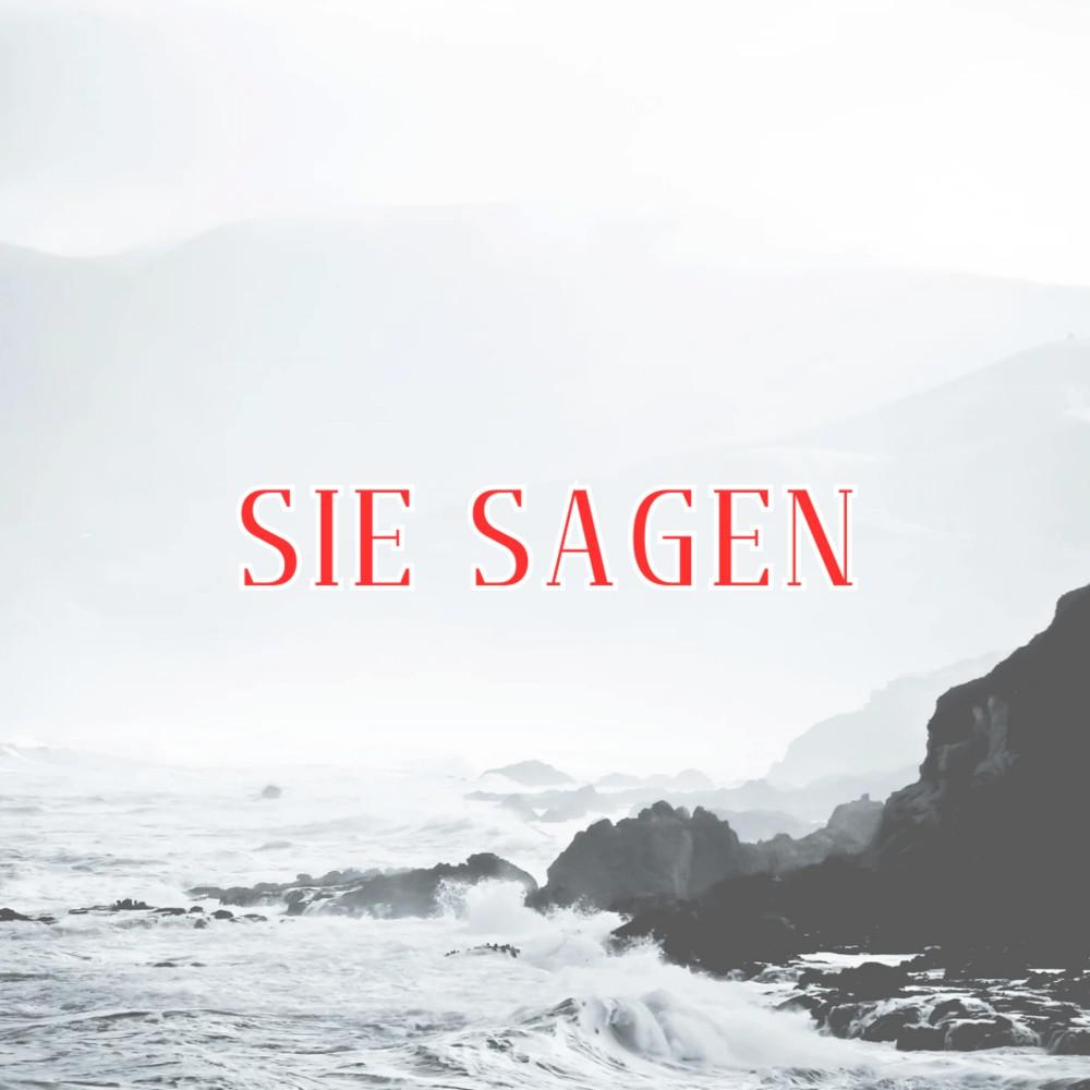 Постер альбома Sie Sagen (Pastiche/Remix/Mashup)