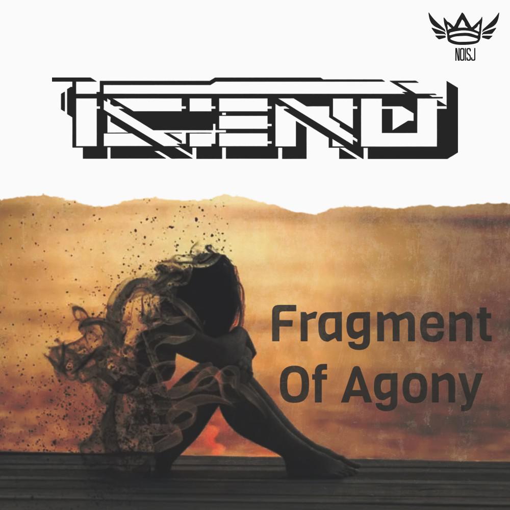Постер альбома Fragment of Agony