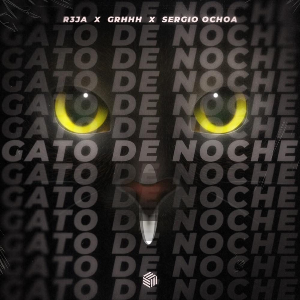 Постер альбома Gato de Noche