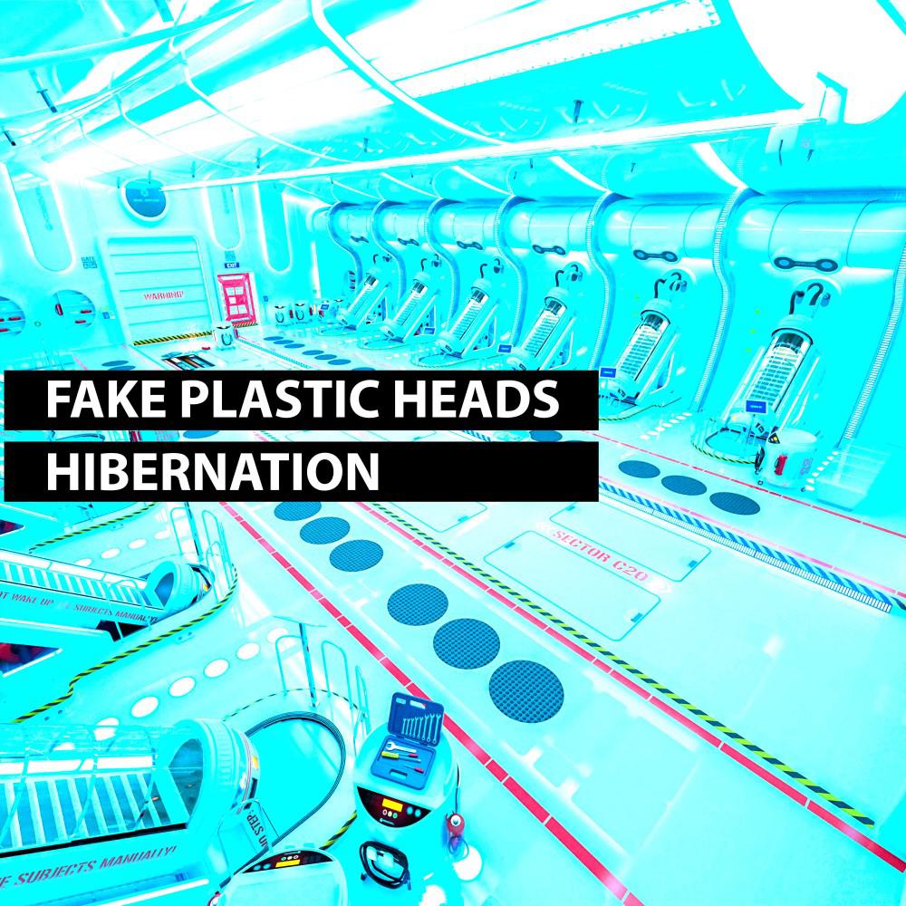 Постер альбома Hibernation