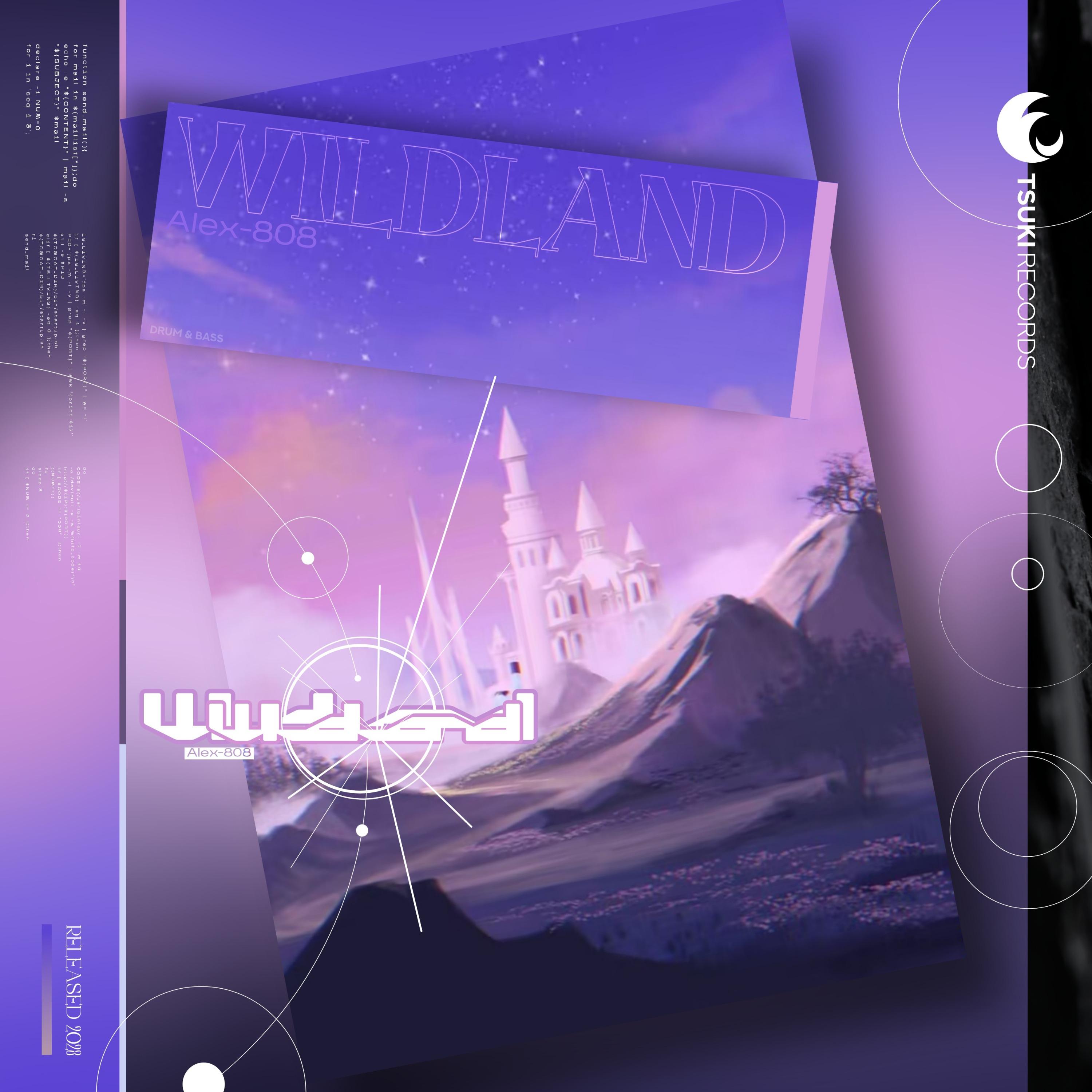 Постер альбома Wildland