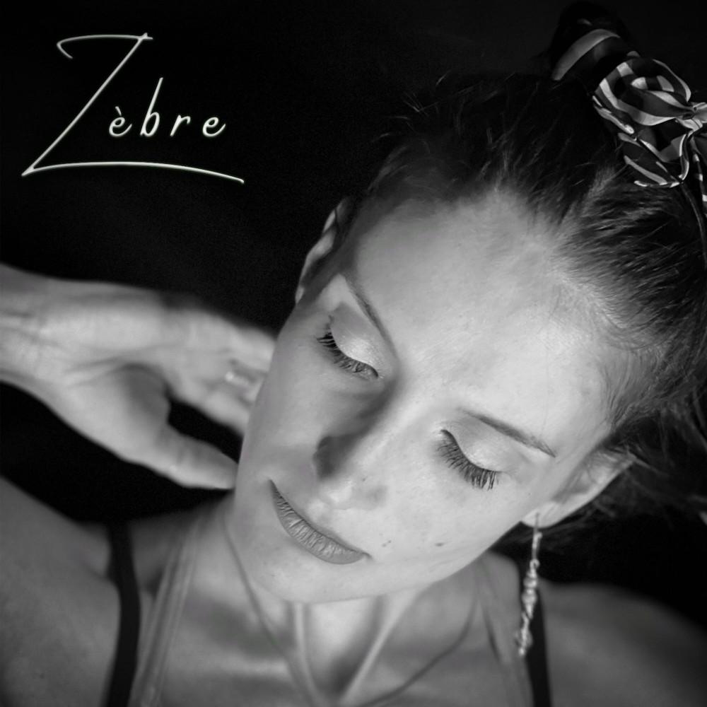 Постер альбома Zèbre