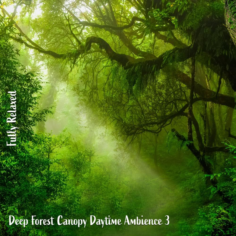 Постер альбома Fully Relaxed: Deep Forest Canopy Daytime Ambience 3