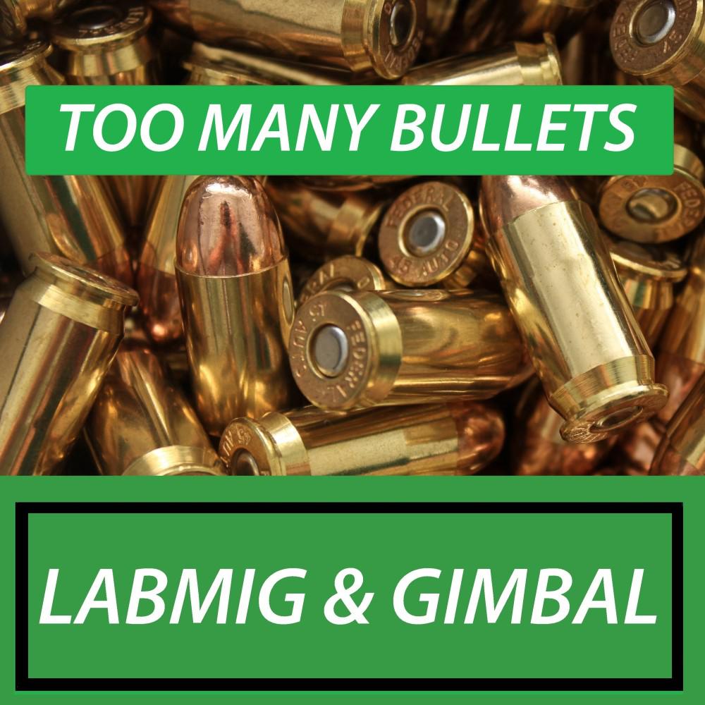 Постер альбома Too Many Bullets